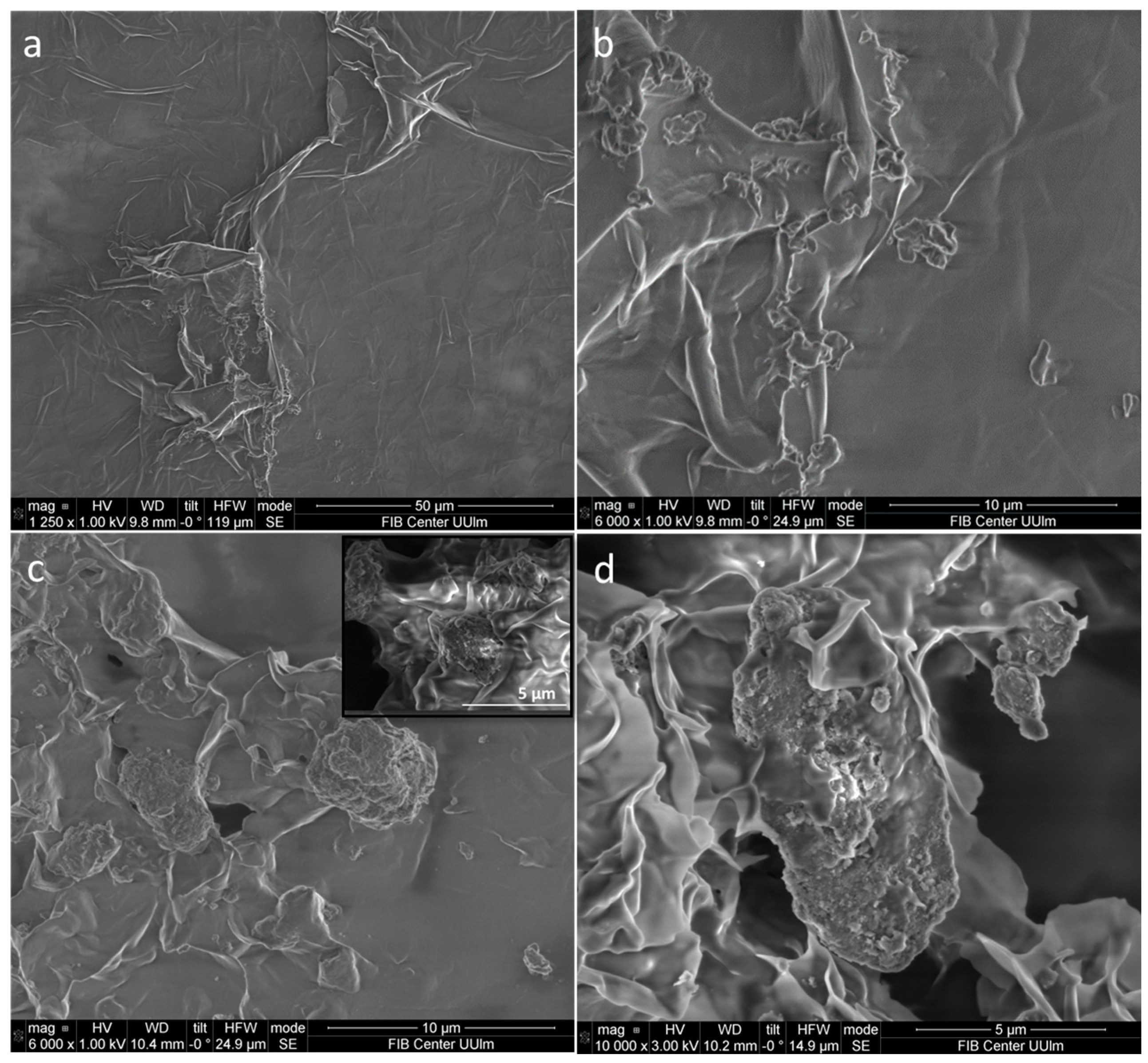 Antibiotics 12 00194 g004 Antibiotics 12 00194 g004