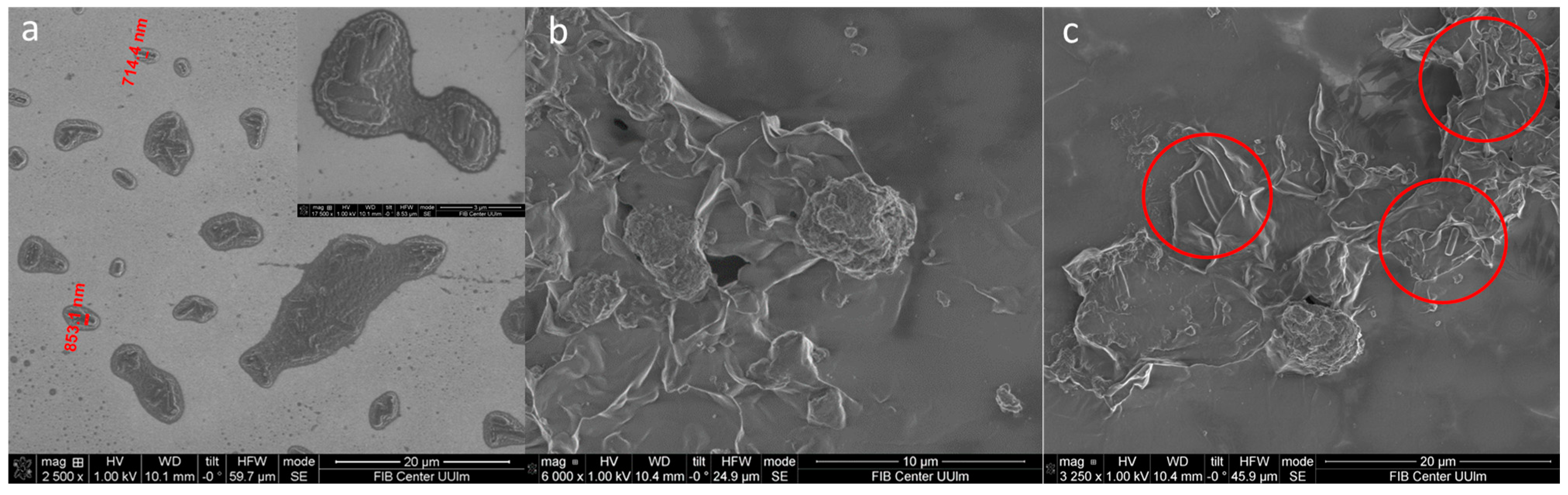 Antibiotics 12 00194 g008 Antibiotics 12 00194 g008