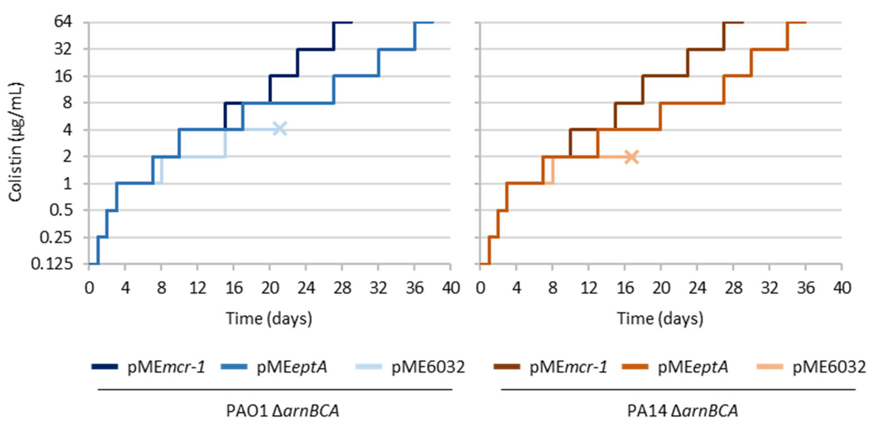 Antibiotics 12 00200 g001 Antibiotics 12 00200 g001