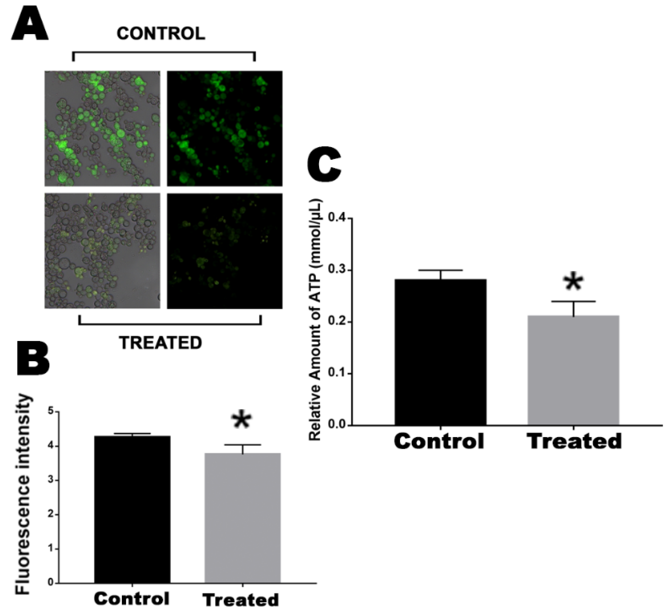 Antibiotics 12 00206 g004 Antibiotics 12 00206 g004
