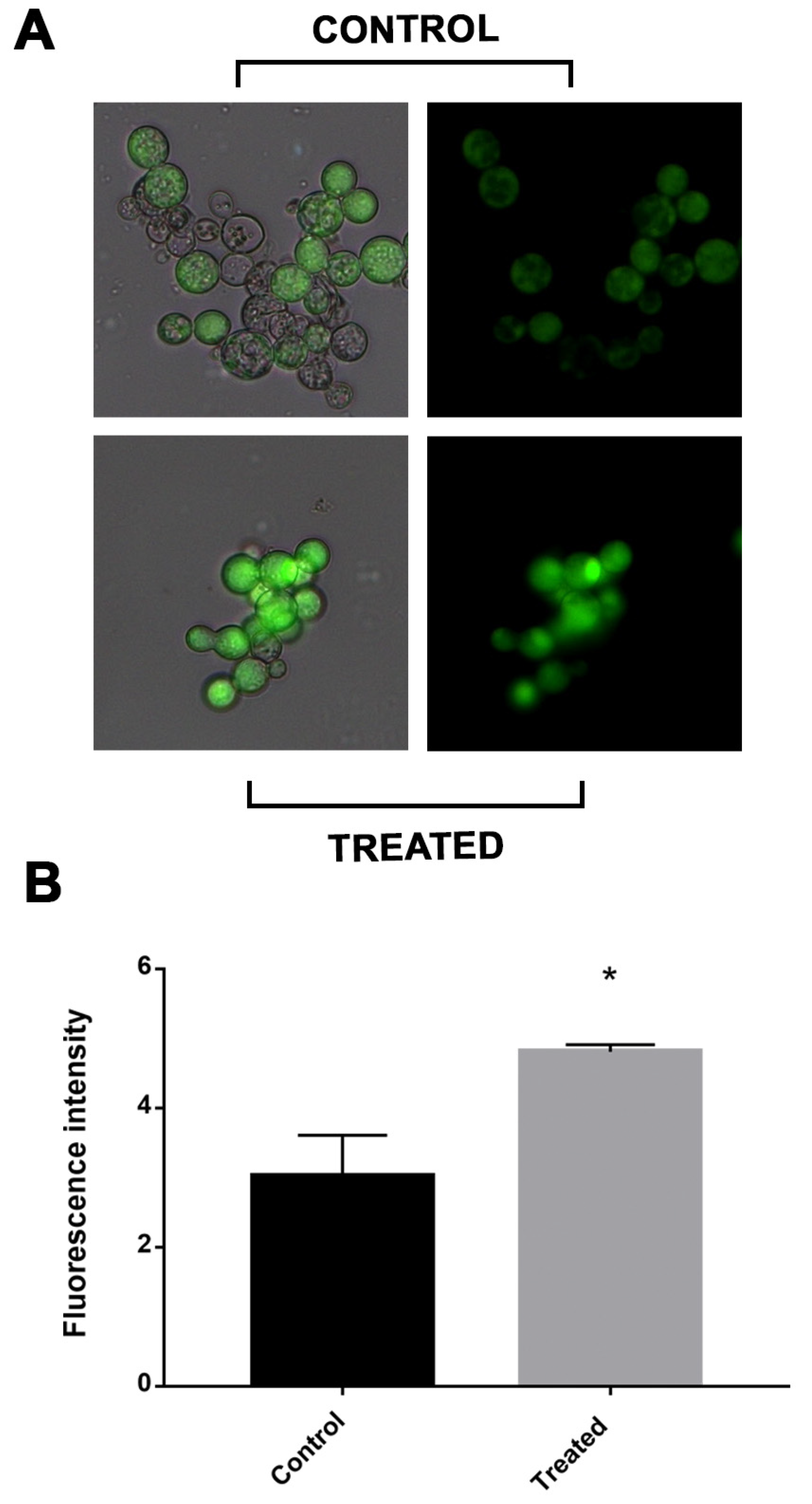 Antibiotics 12 00206 g005 Antibiotics 12 00206 g005