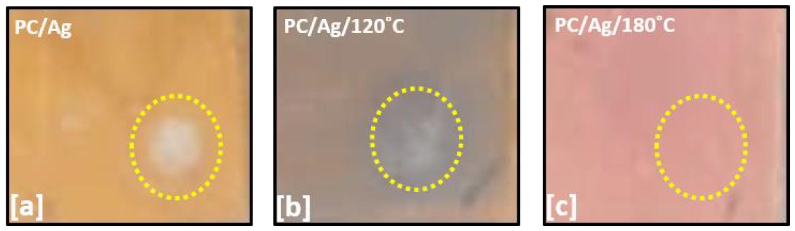 Antibiotics 12 00207 g007 Antibiotics 12 00207 g007