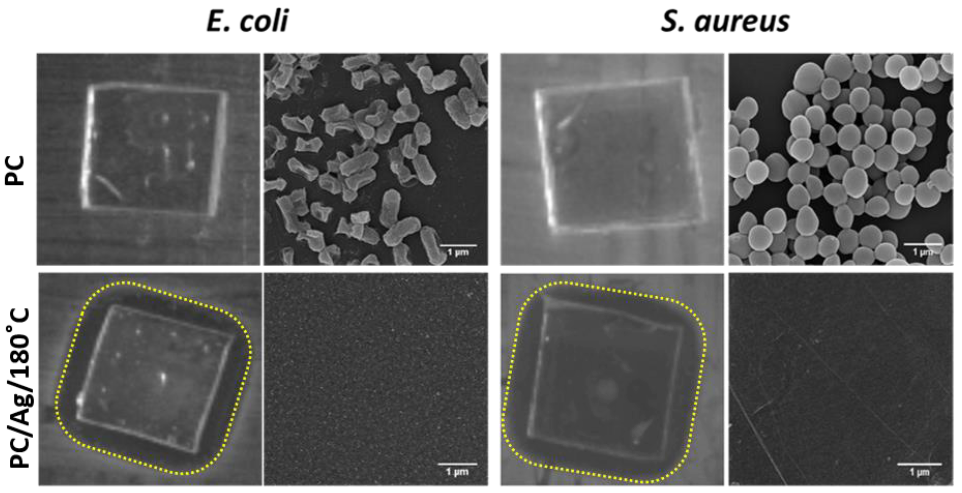 Antibiotics 12 00207 g008 Antibiotics 12 00207 g008