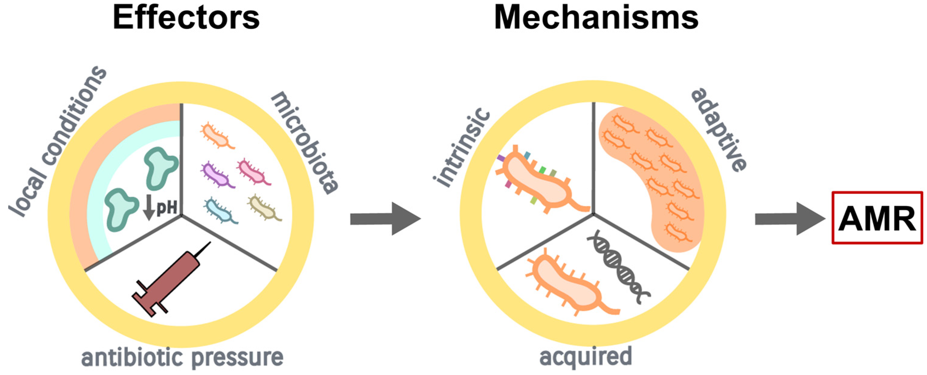 Antibiotics 12 00217 g001 Antibiotics 12 00217 g001