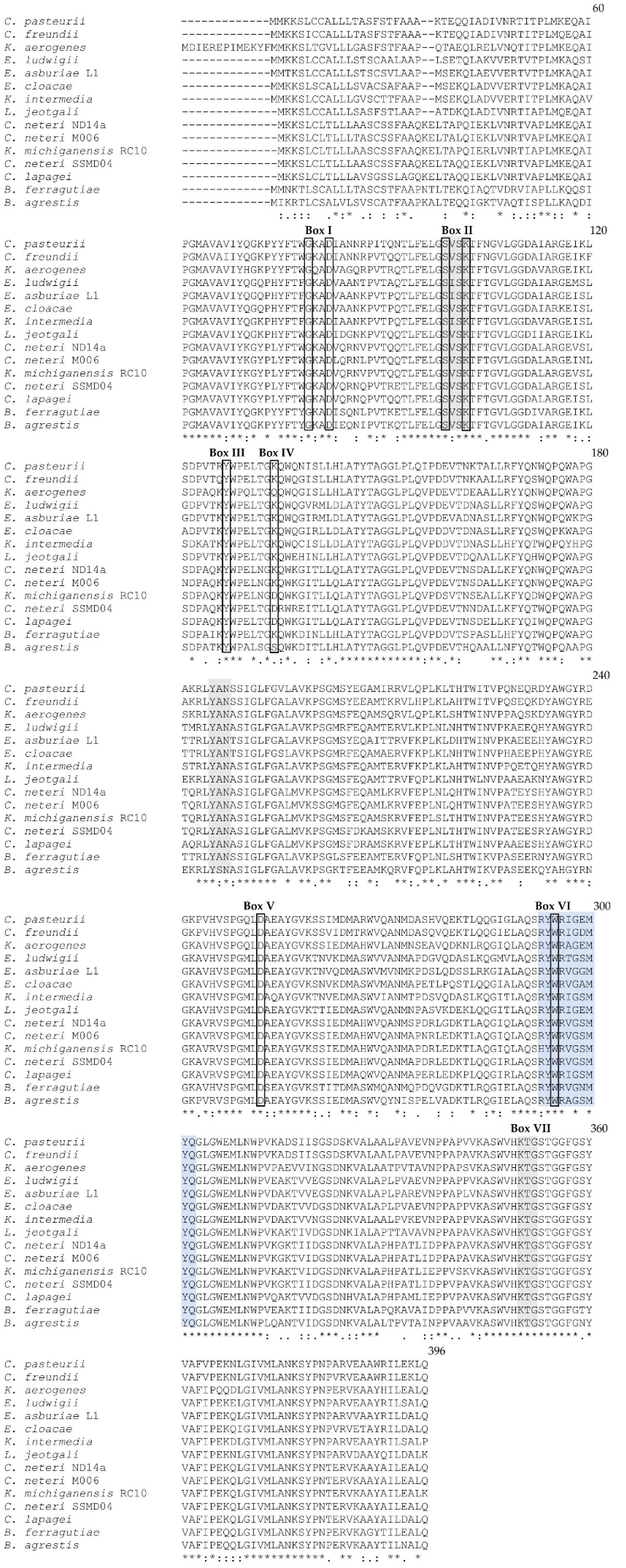 Antibiotics 12 00219 g001 Antibiotics 12 00219 g001