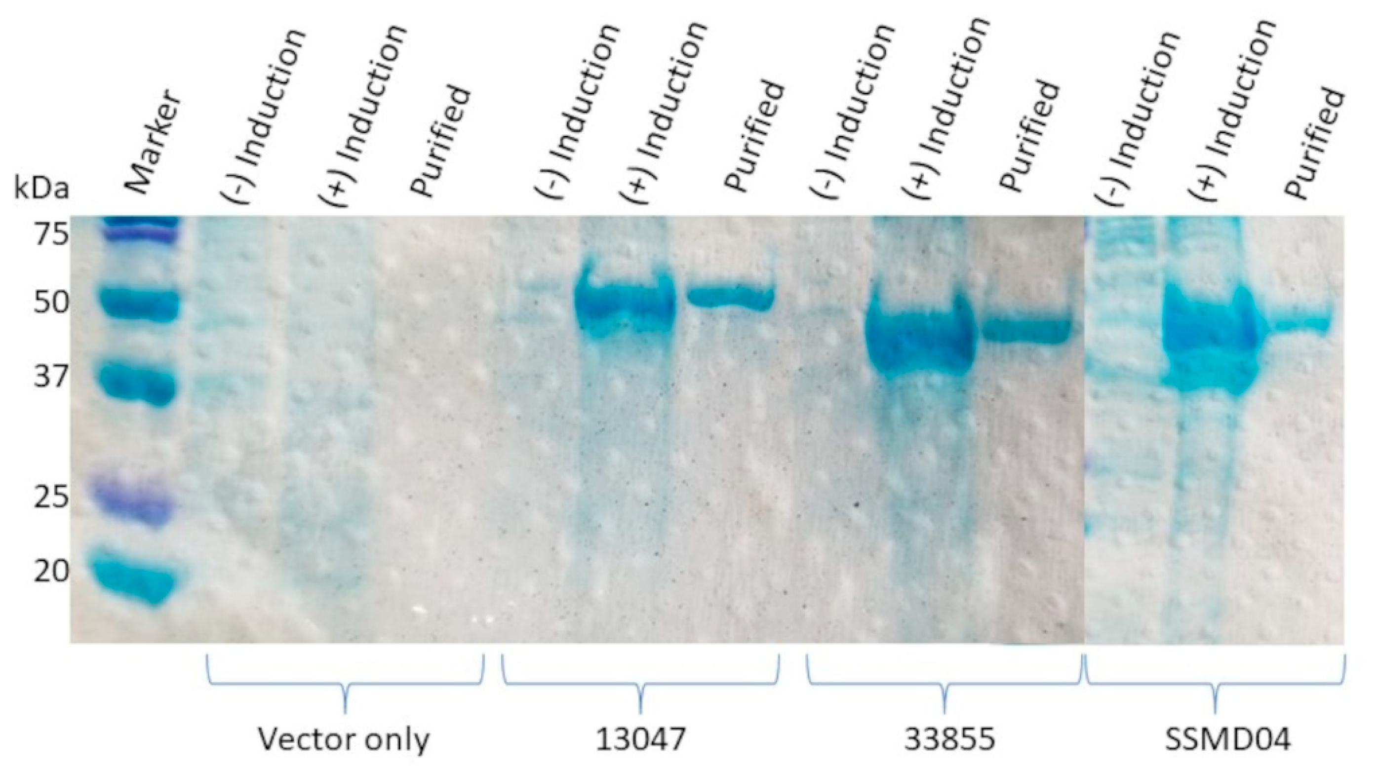 Antibiotics 12 00219 g002 Antibiotics 12 00219 g002