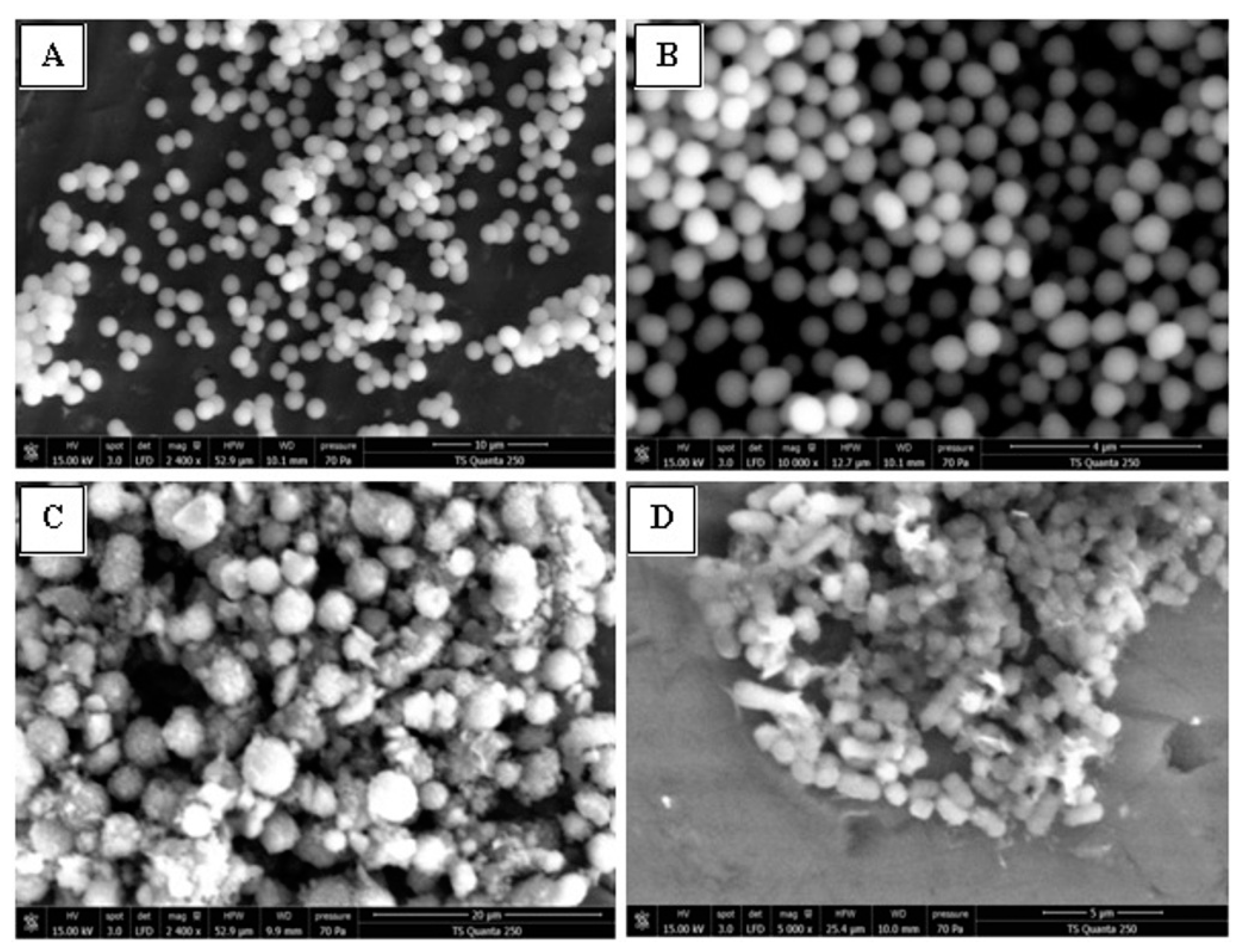 Antibiotics 12 00225 g014 Antibiotics 12 00225 g014