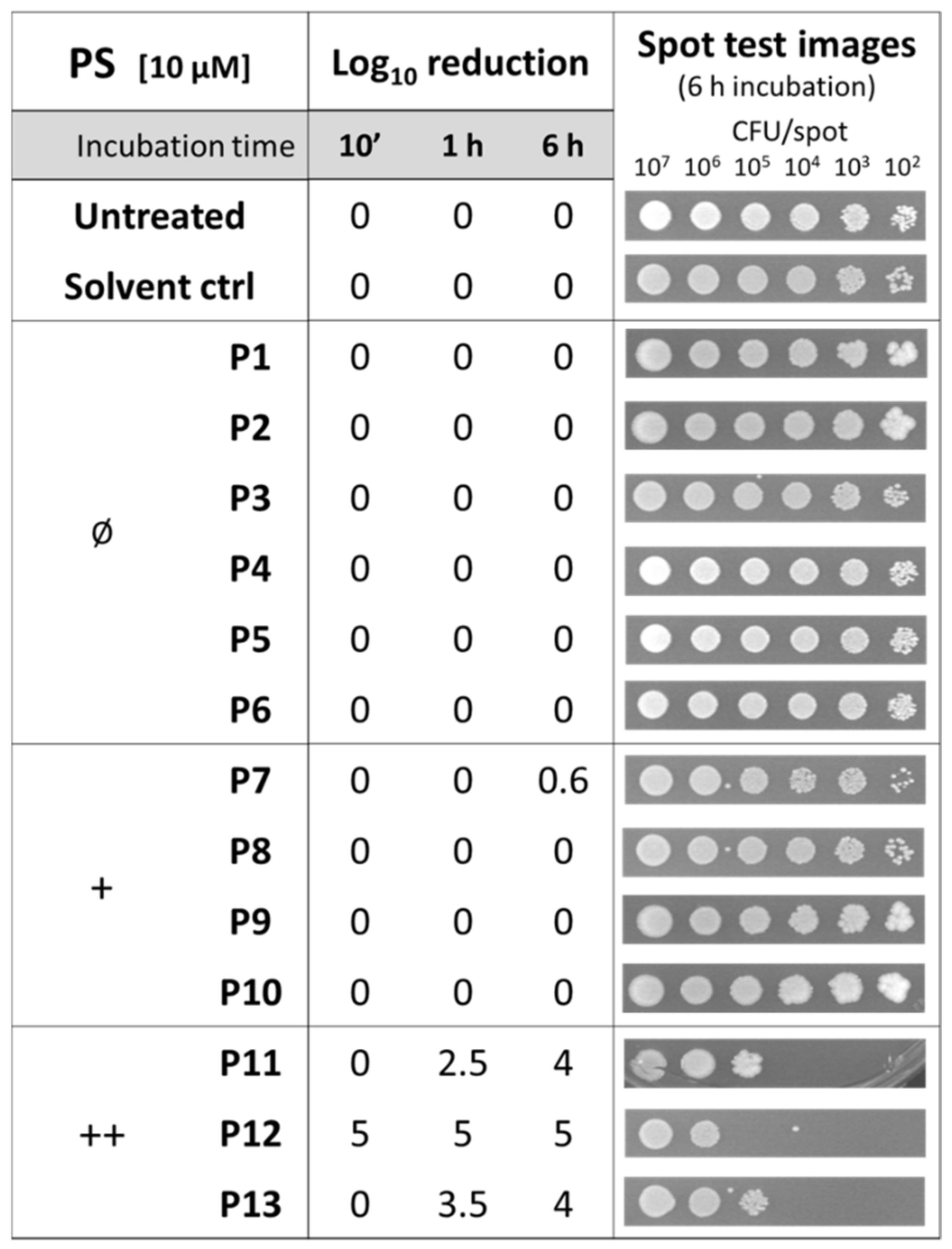 Antibiotics 12 00228 g001 Antibiotics 12 00228 g001