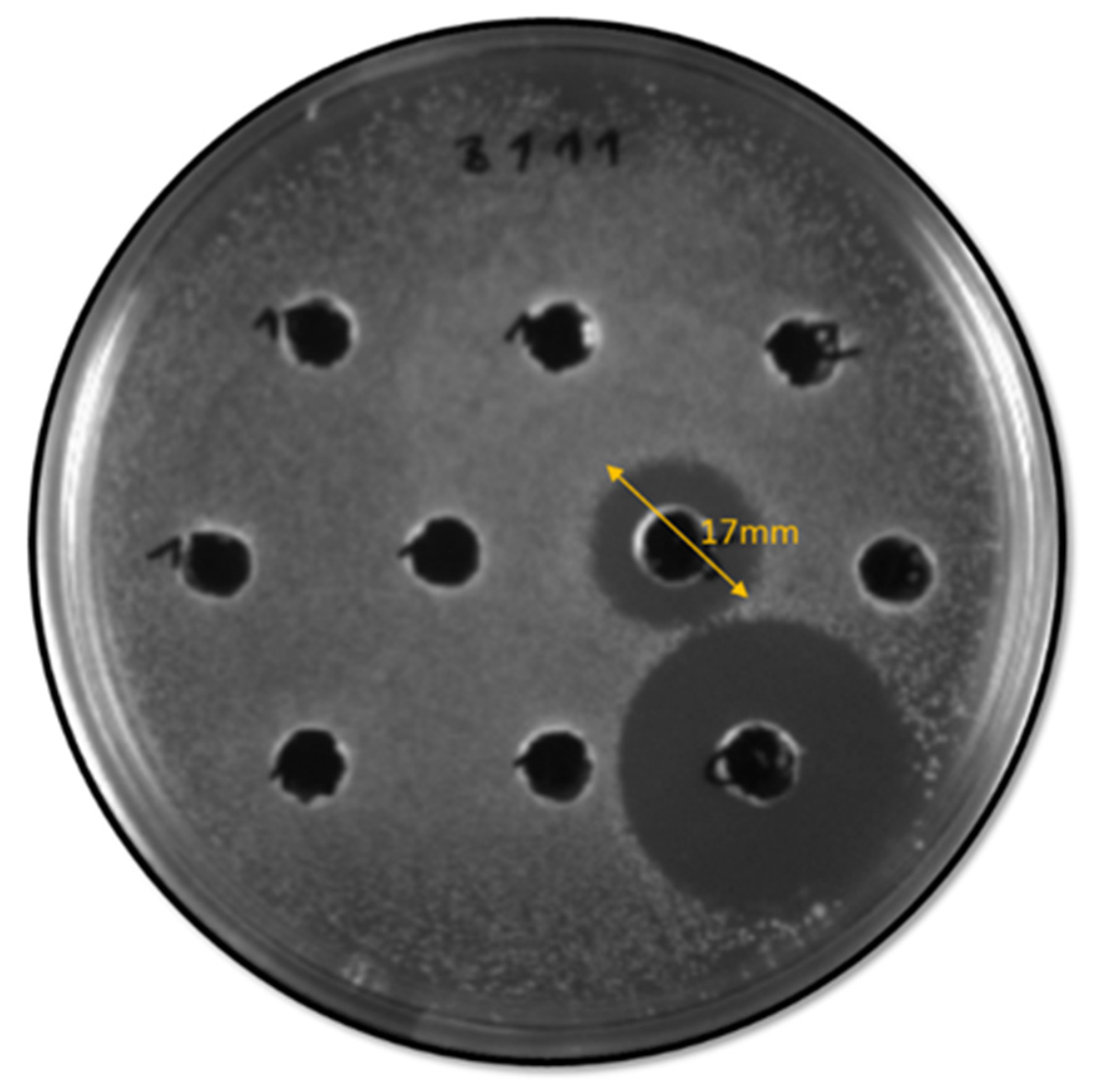 Antibiotics 12 00231 g002 Antibiotics 12 00231 g002