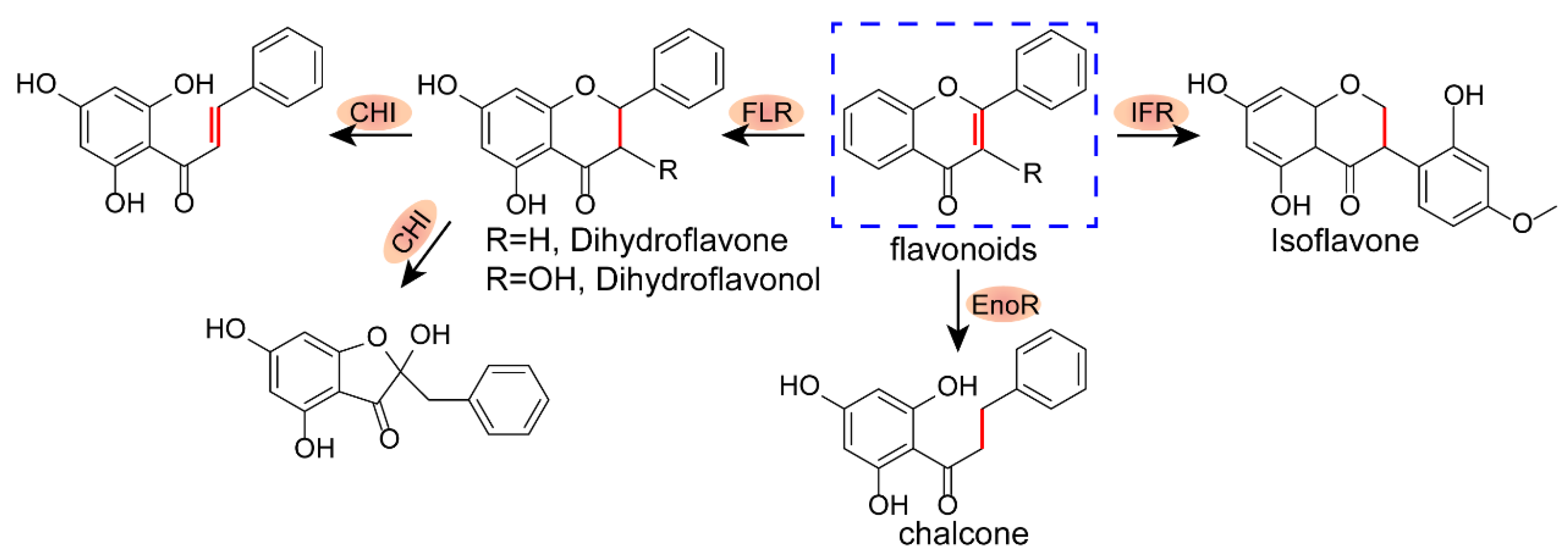 Antibiotics 12 00232 g001 Antibiotics 12 00232 g001