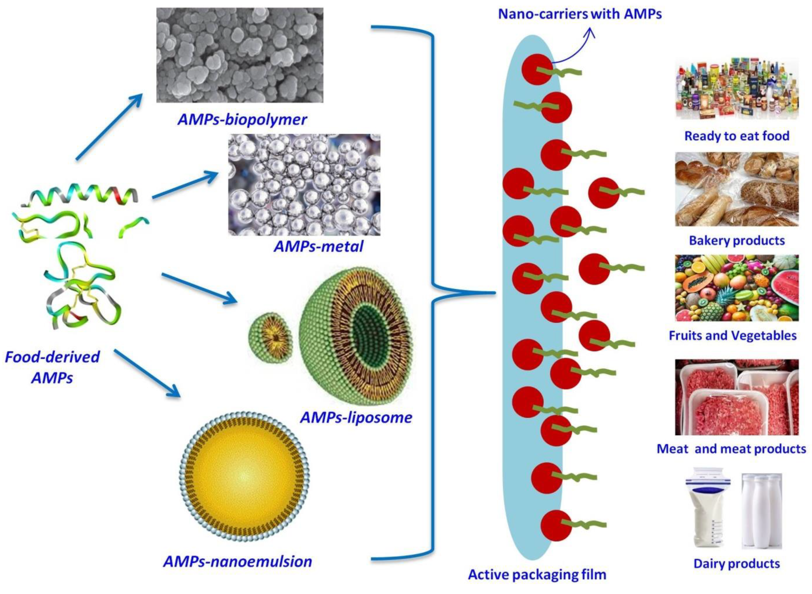 Antibiotics 12 00244 g002 Antibiotics 12 00244 g002