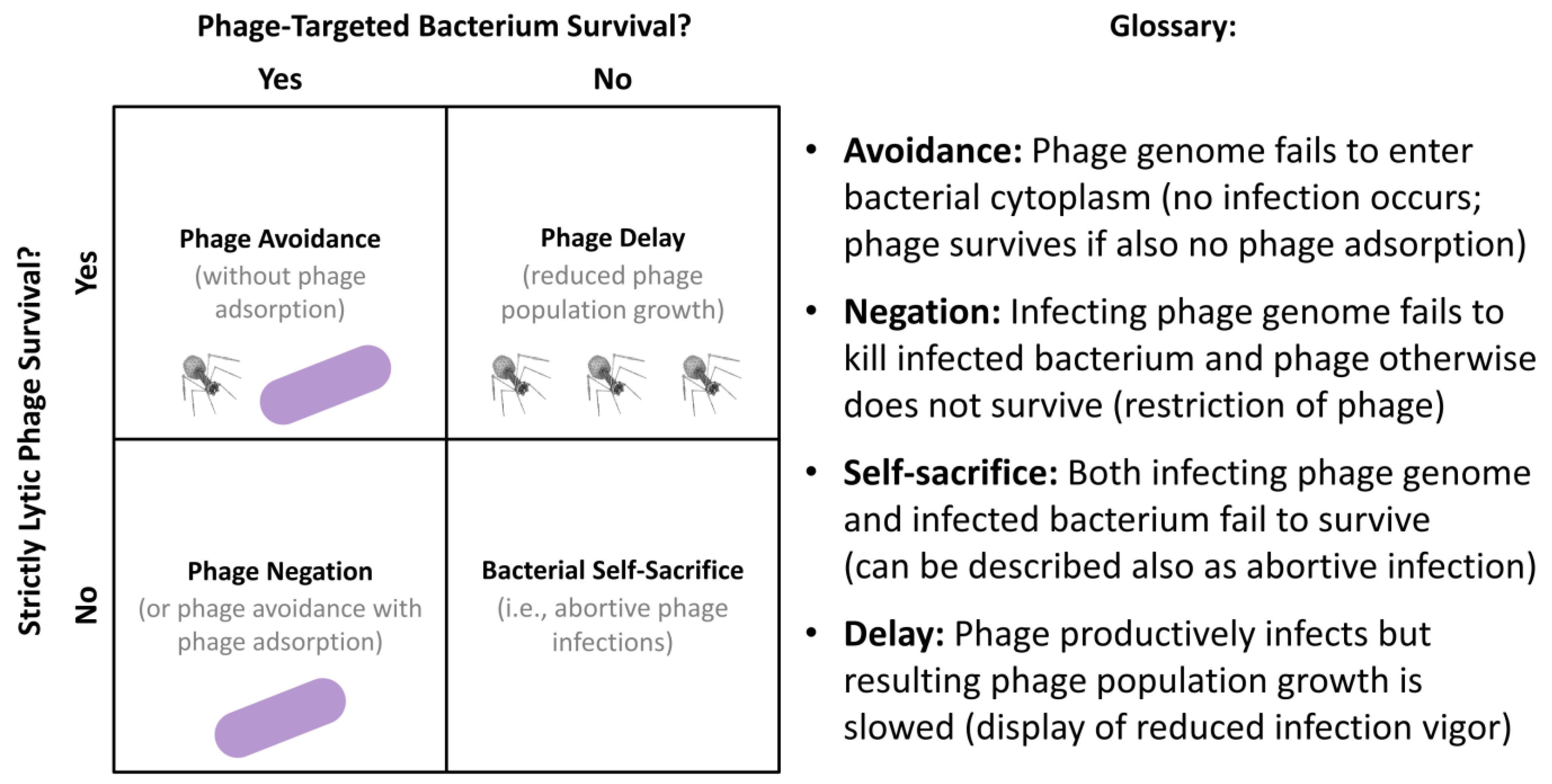 Antibiotics 12 00245 g006 Antibiotics 12 00245 g006