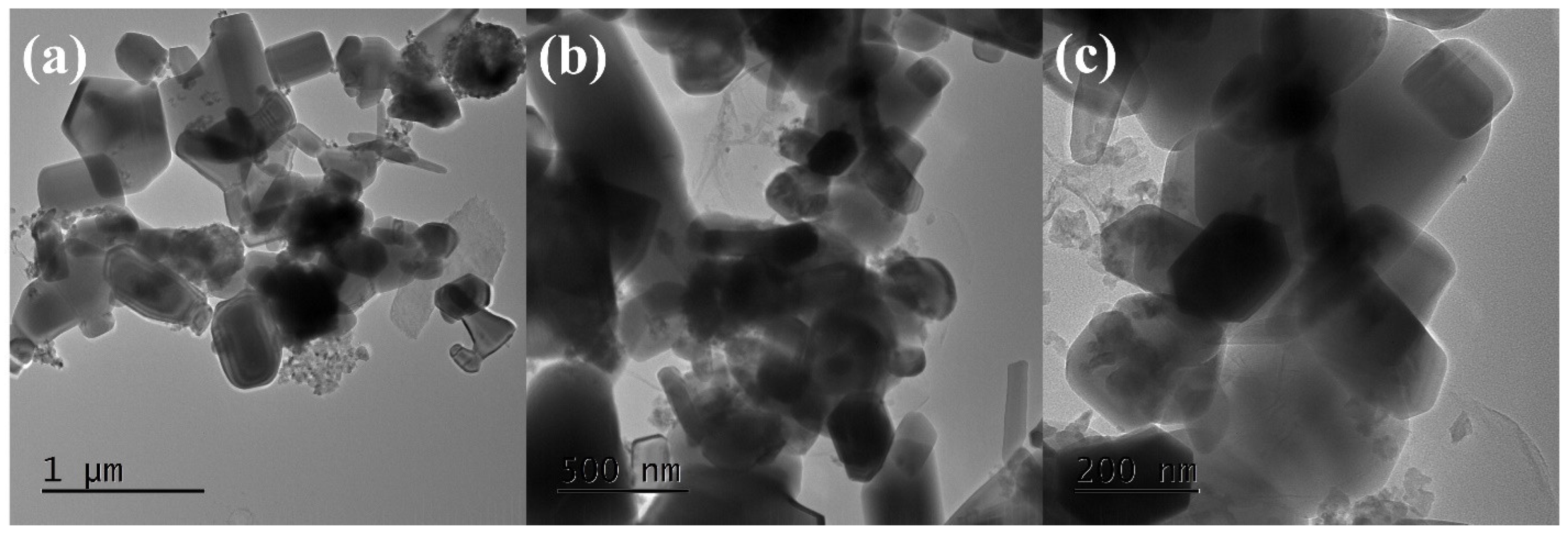 Antibiotics 12 00246 g003