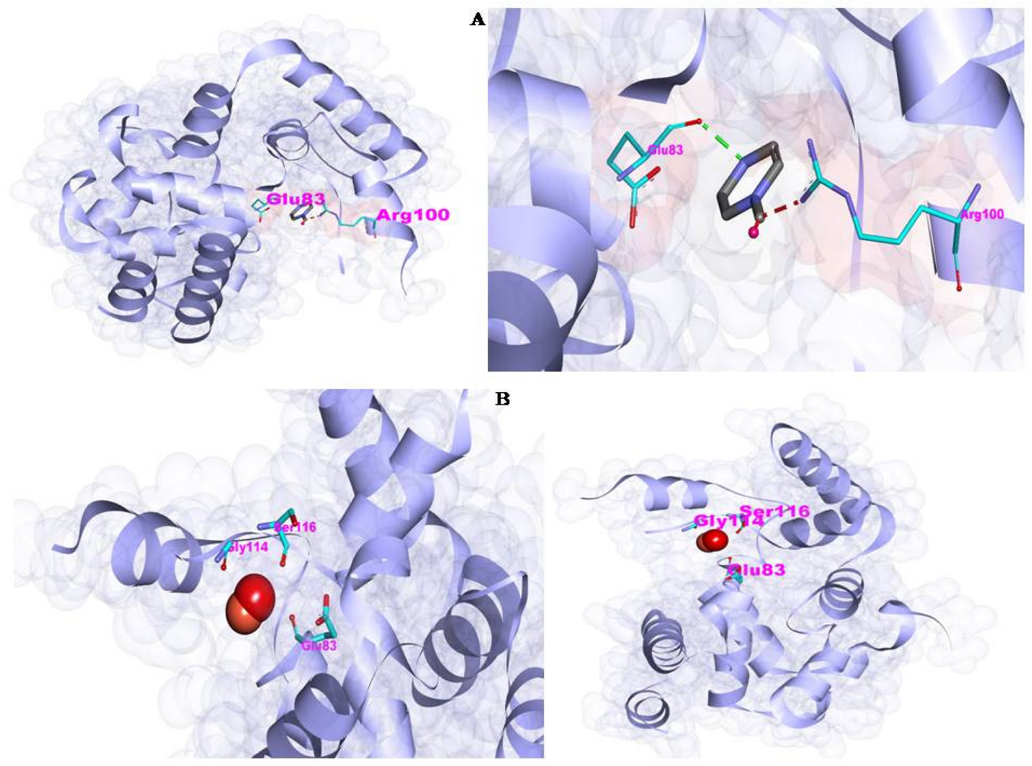 Antibiotics 12 00246 g007