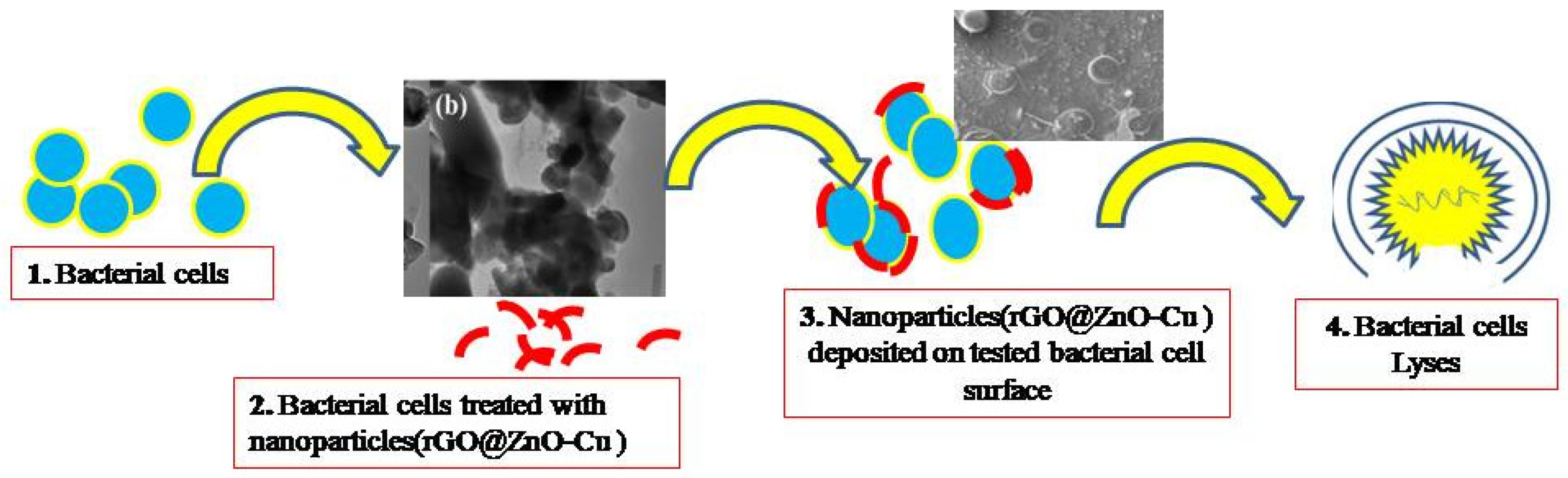 Antibiotics 12 00246 g008