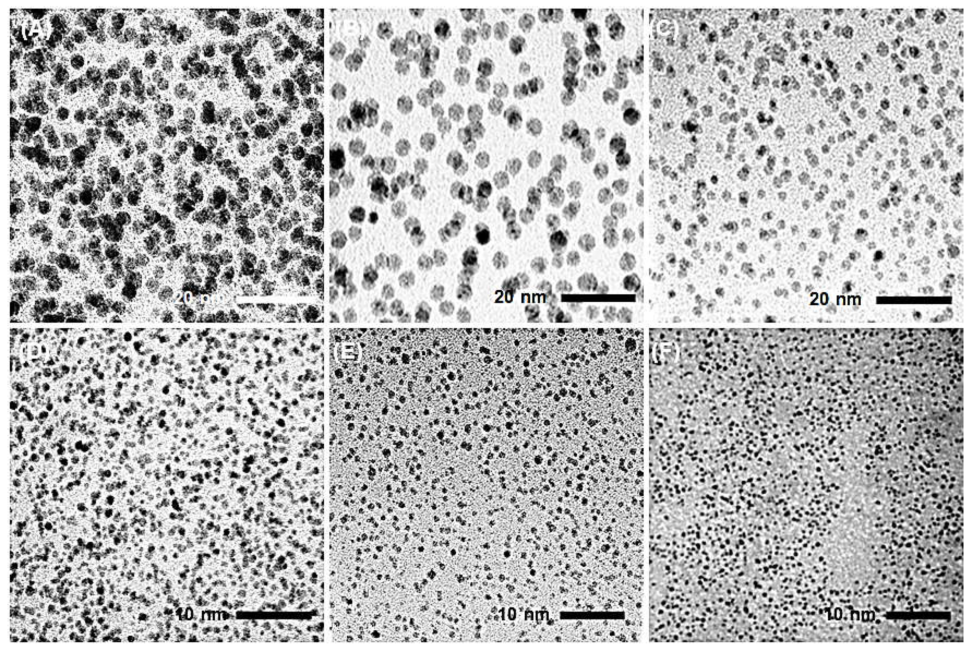 Antibiotics 12 00247 g004 Antibiotics 12 00247 g004