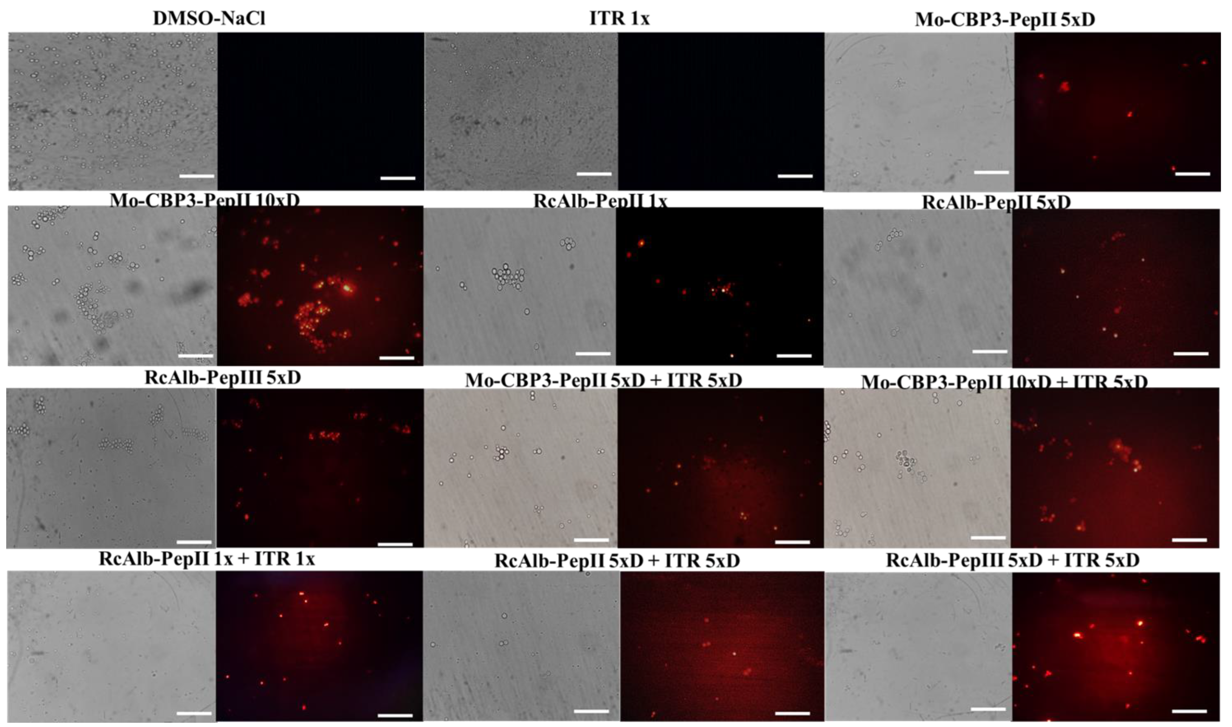 Antibiotics 12 00256 g001 Antibiotics 12 00256 g001