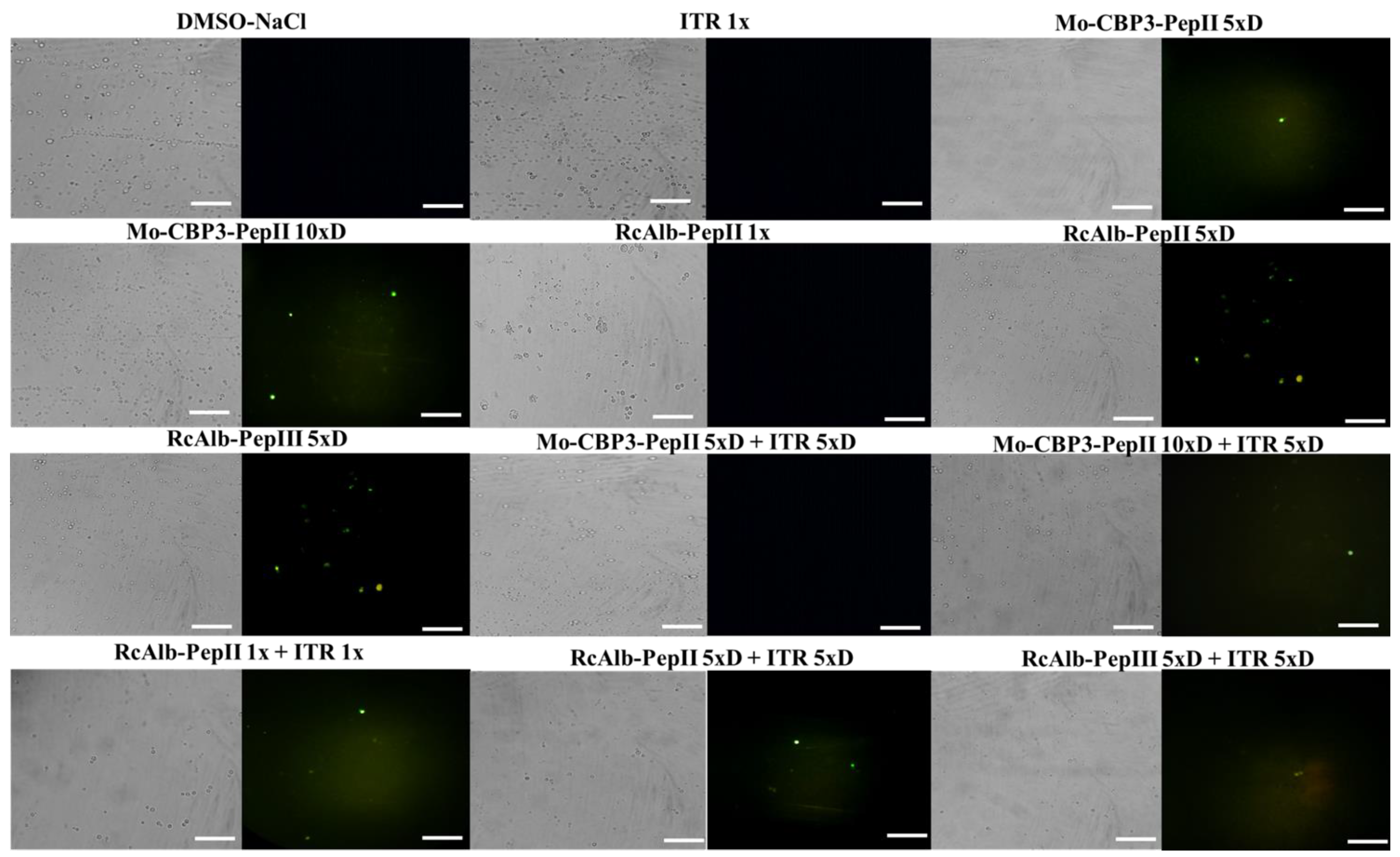 Antibiotics 12 00256 g002 Antibiotics 12 00256 g002