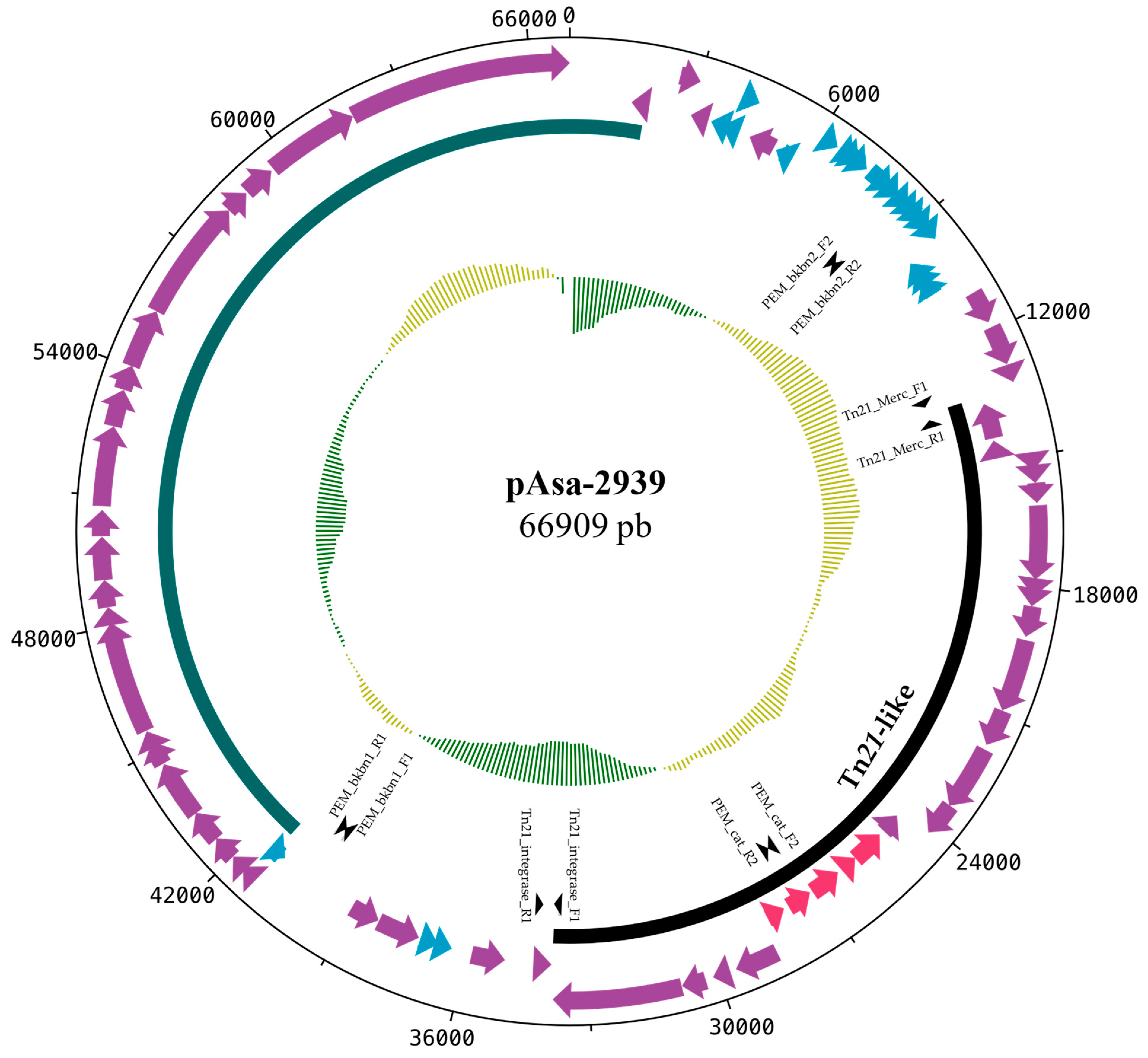 Antibiotics 12 00257 g001 Antibiotics 12 00257 g001
