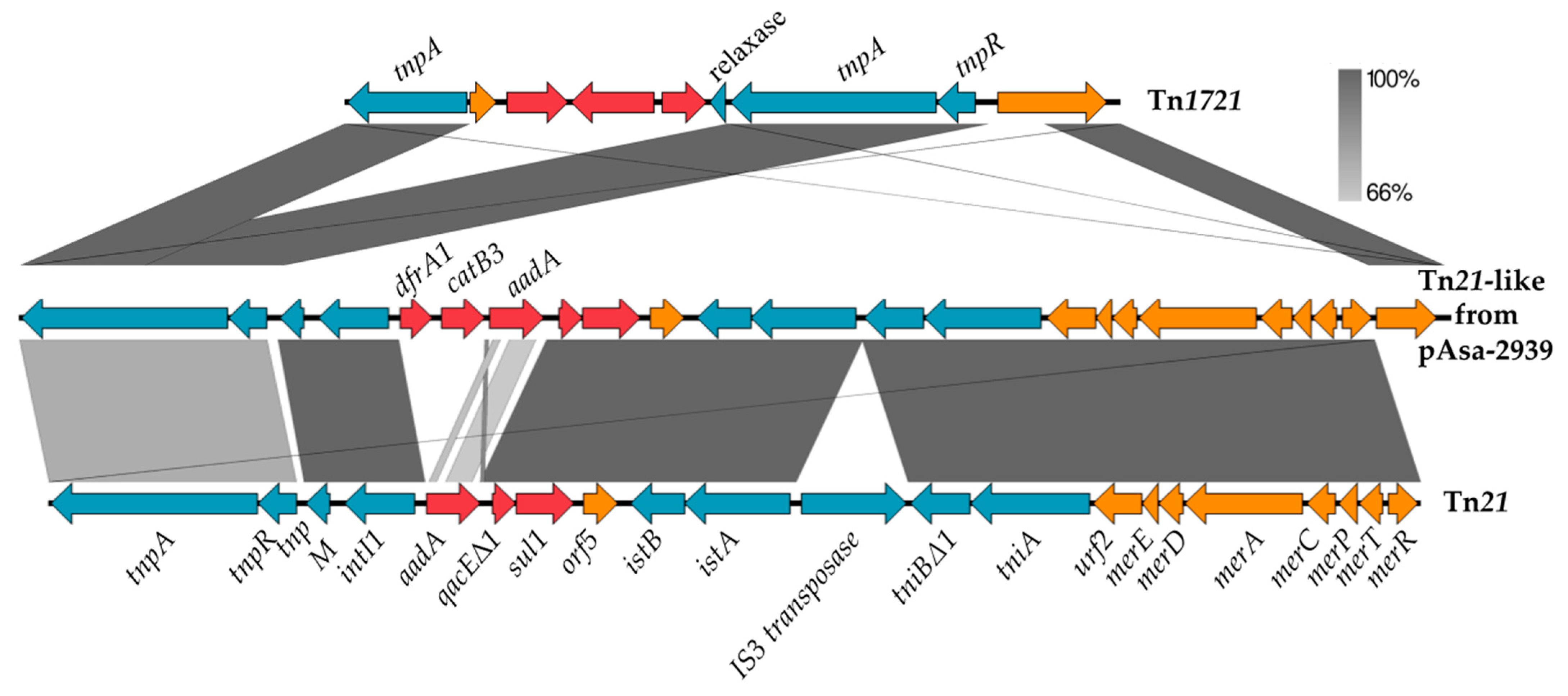 Antibiotics 12 00257 g002 Antibiotics 12 00257 g002