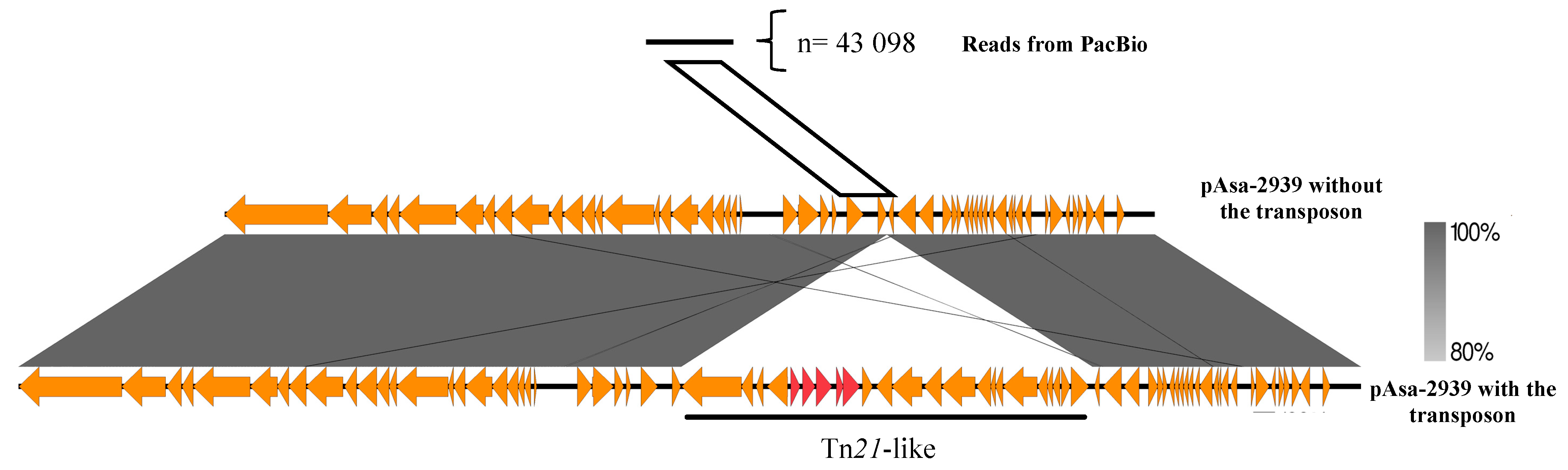 Antibiotics 12 00257 g004 Antibiotics 12 00257 g004