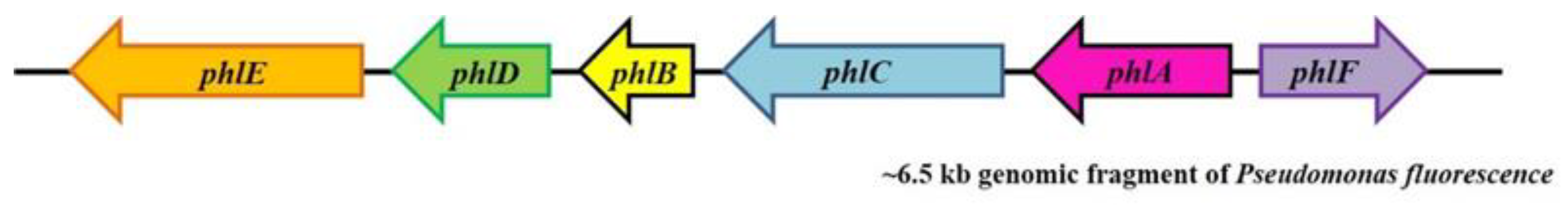 Antibiotics 12 00260 g001 Antibiotics 12 00260 g001