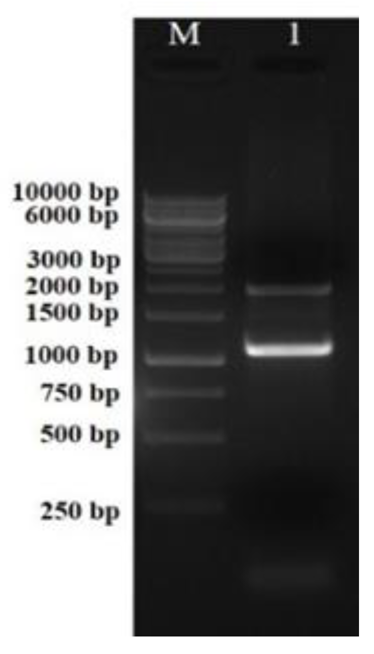 Antibiotics 12 00260 g002 Antibiotics 12 00260 g002