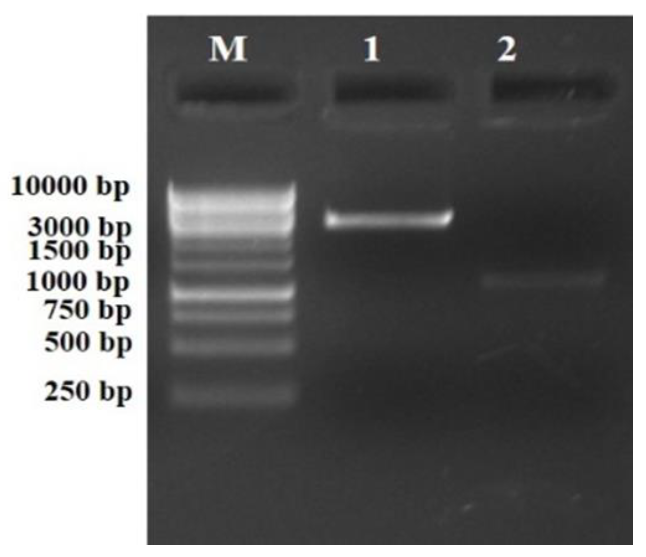 Antibiotics 12 00260 g003 Antibiotics 12 00260 g003