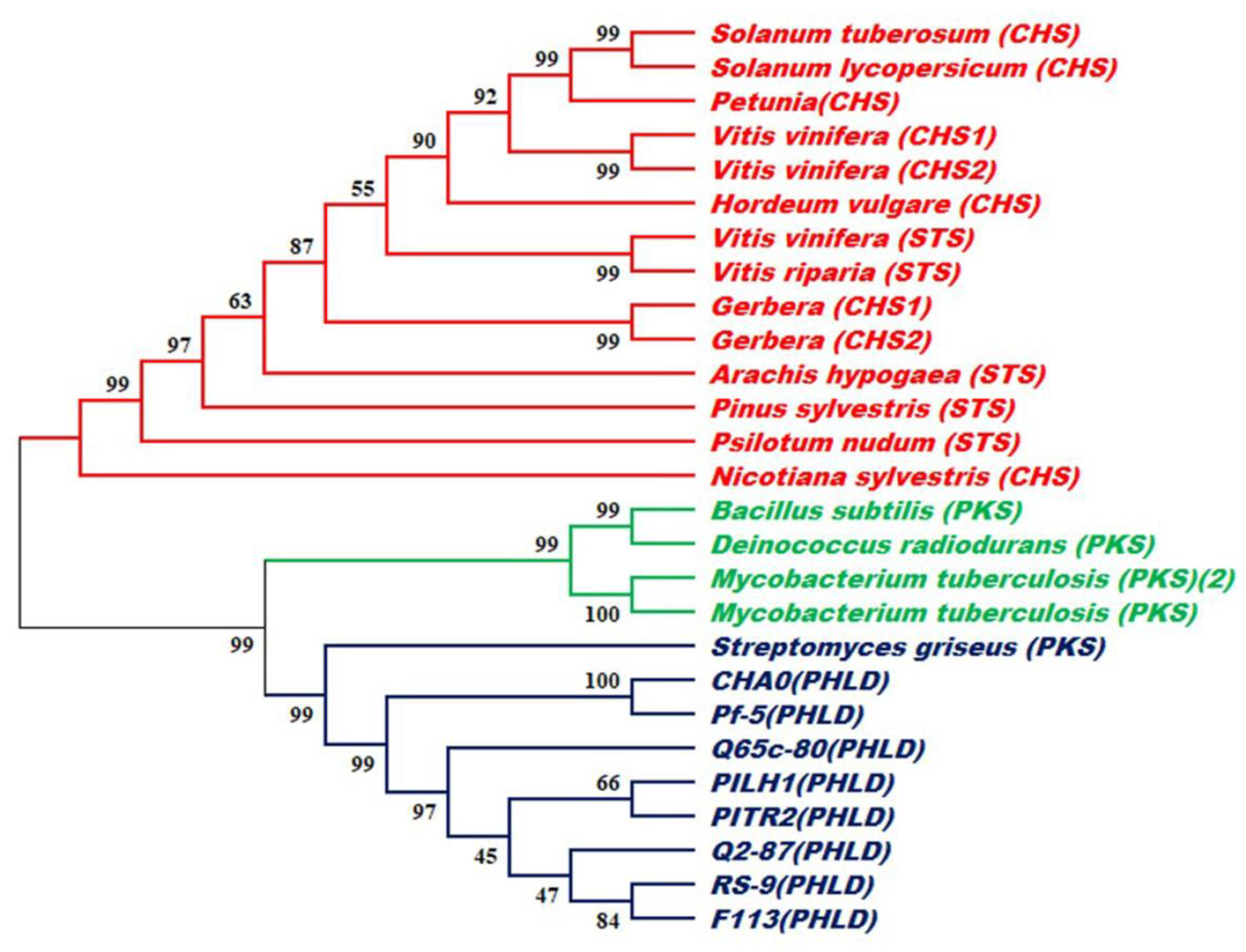 Antibiotics 12 00260 g008 Antibiotics 12 00260 g008