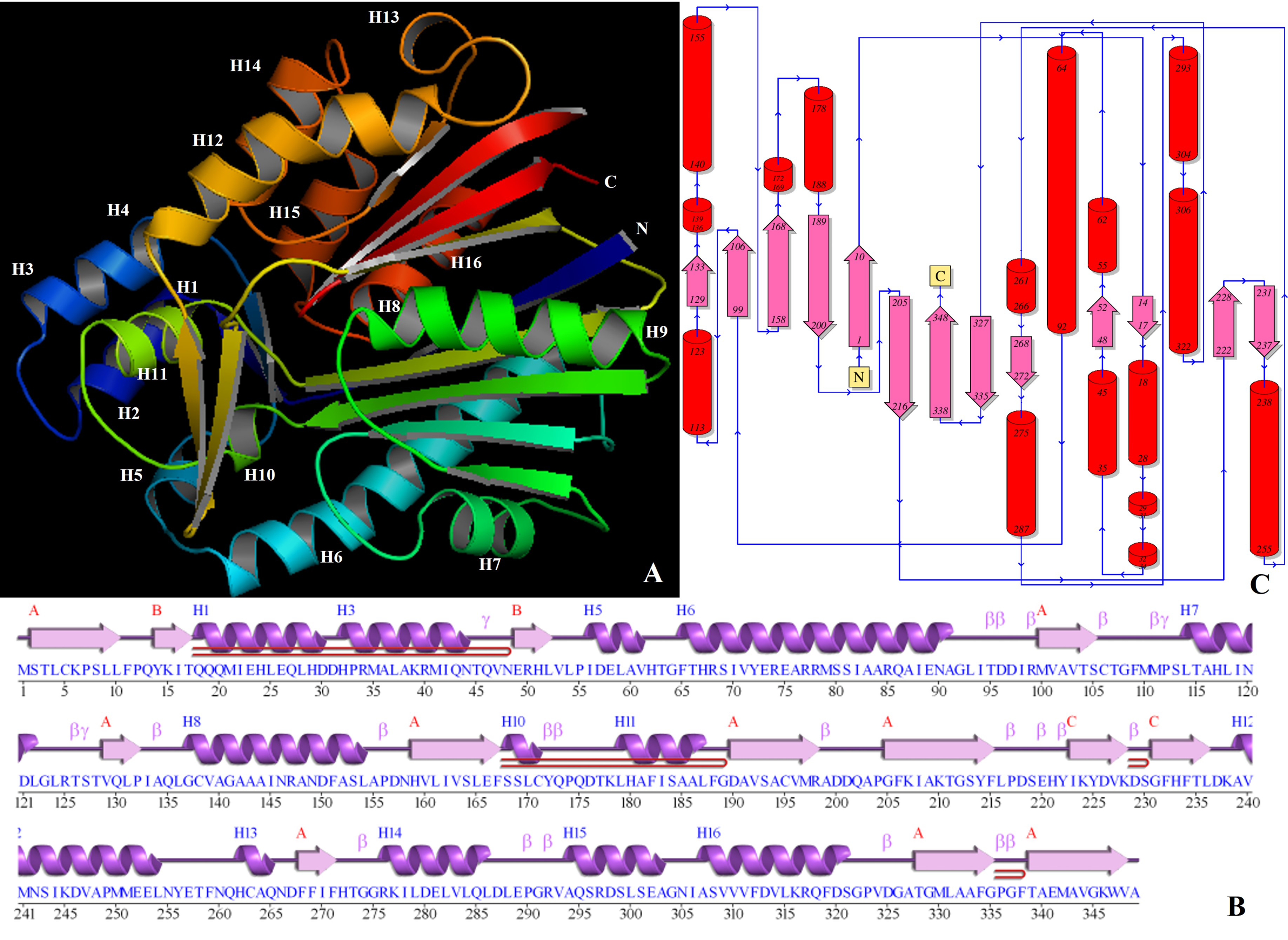Antibiotics 12 00260 g009 Antibiotics 12 00260 g009