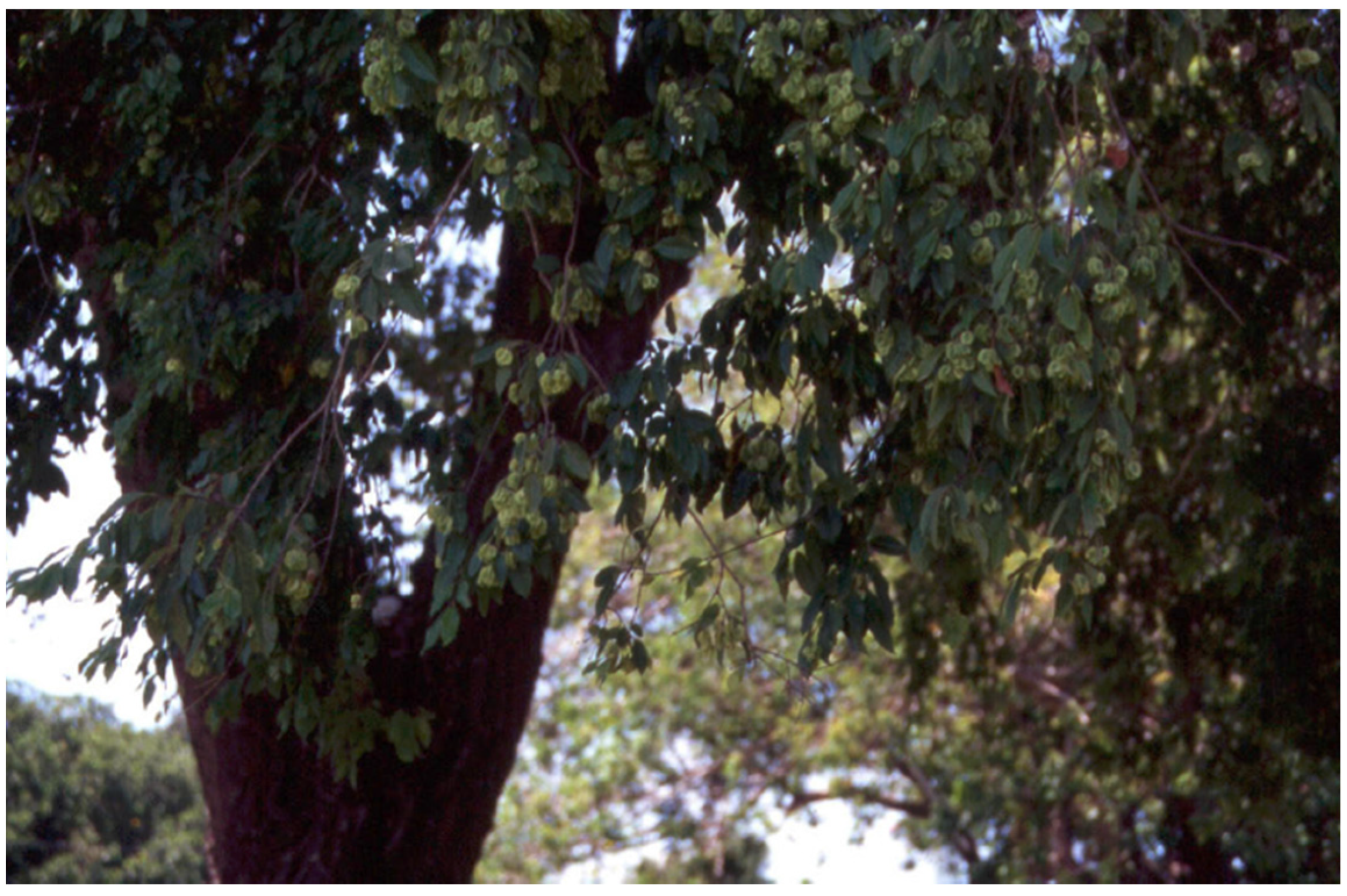 Antibiotics 12 00264 g003 Antibiotics 12 00264 g003