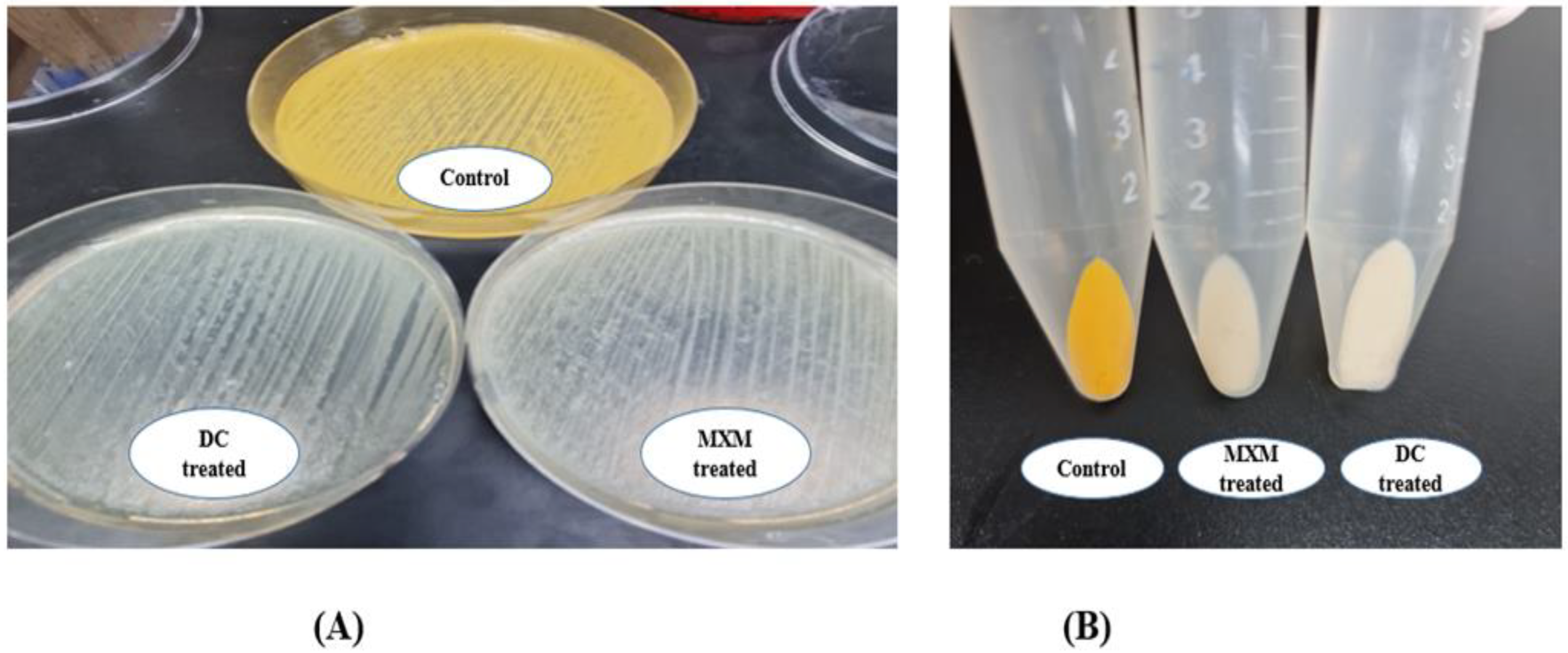 Antibiotics 12 00277 g003