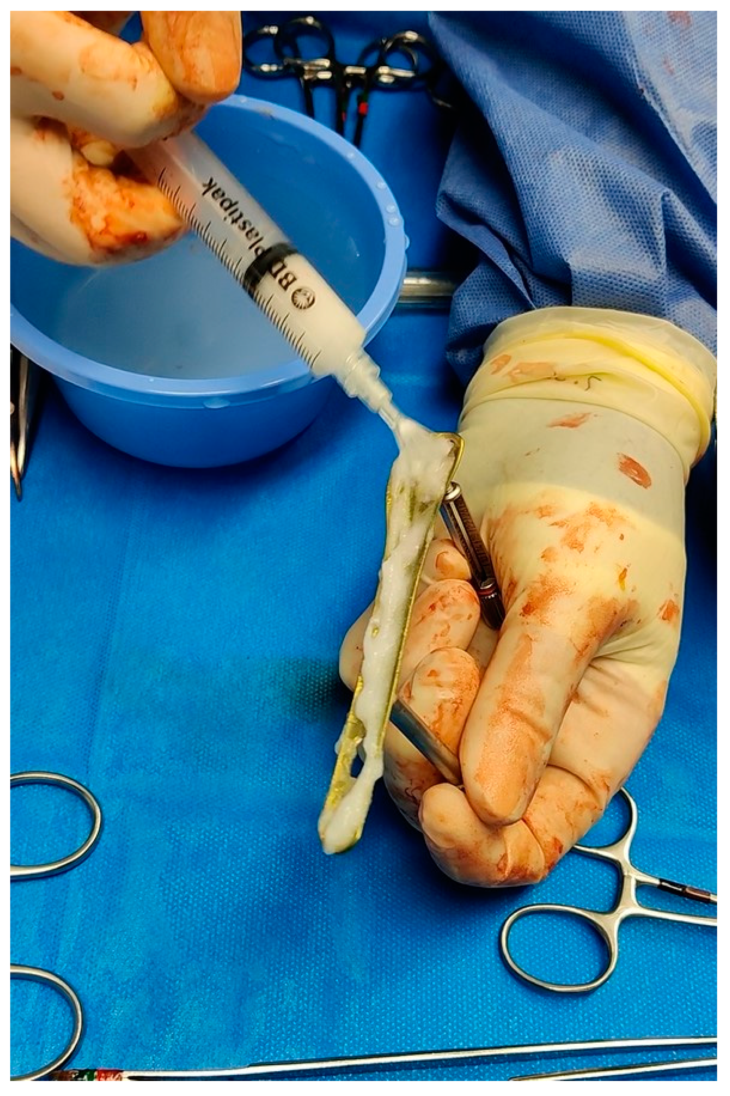 Antibiotics 12 00287 g001 550