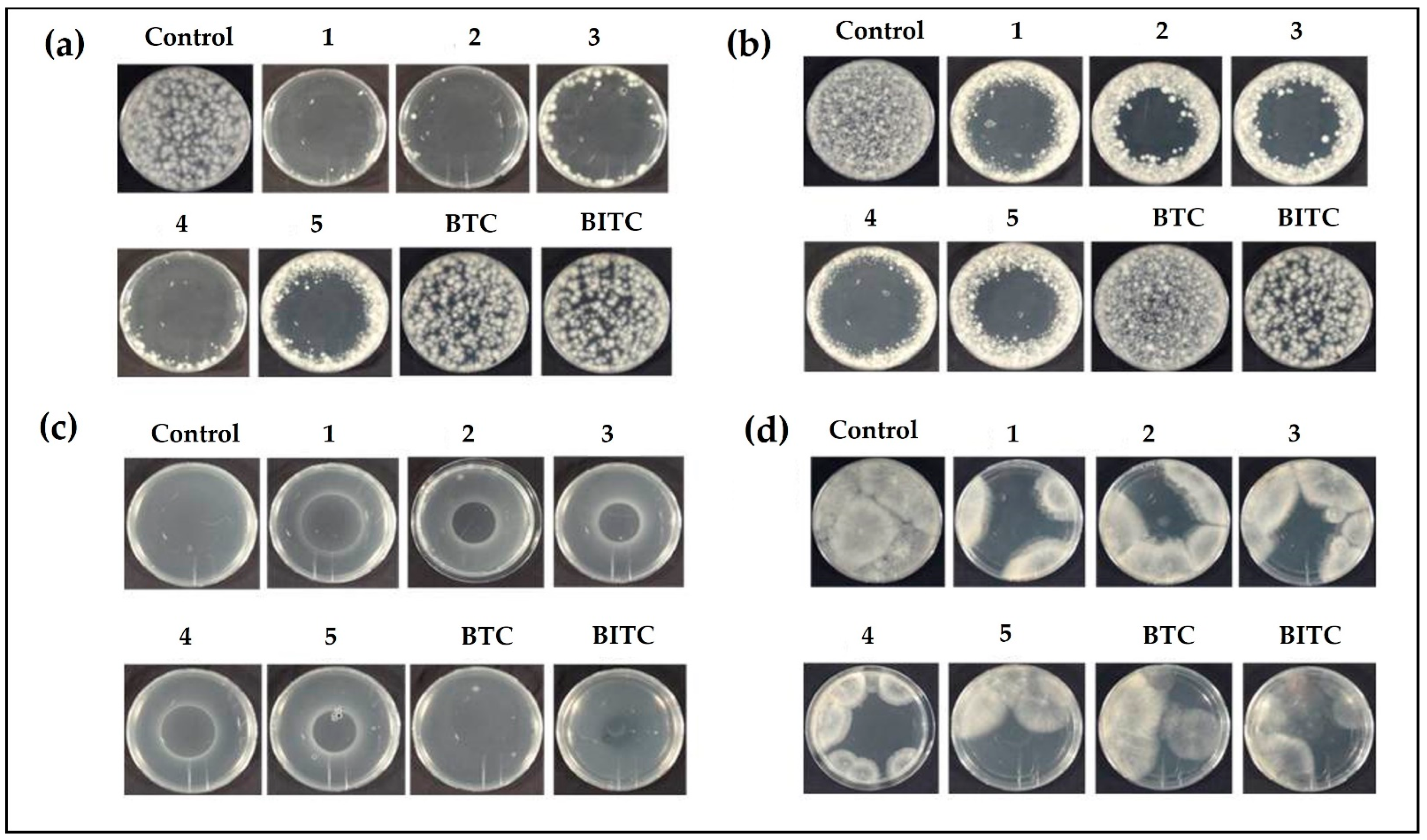 Antibiotics 12 00290 g005 Antibiotics 12 00290 g005