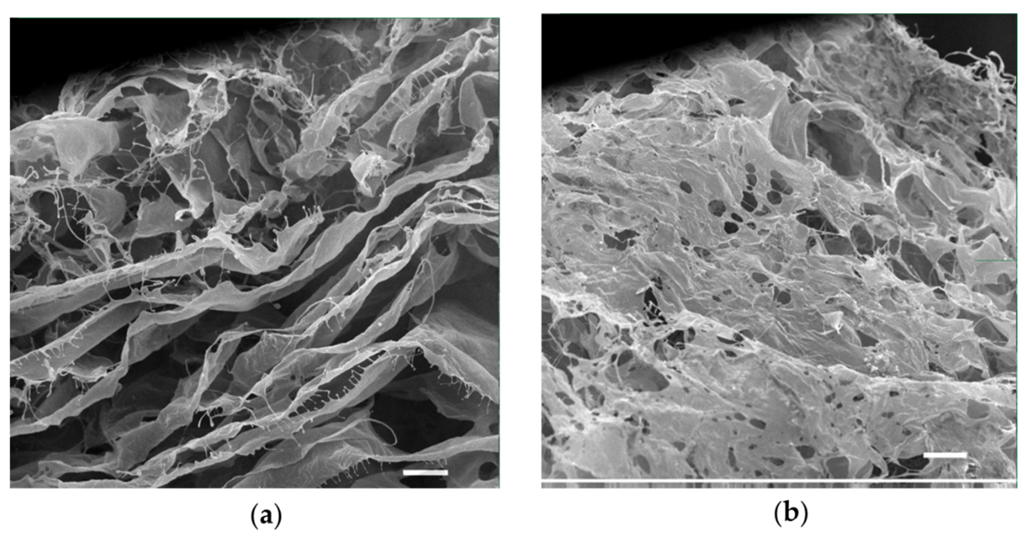 Antibiotics 12 00293 g003 Antibiotics 12 00293 g003