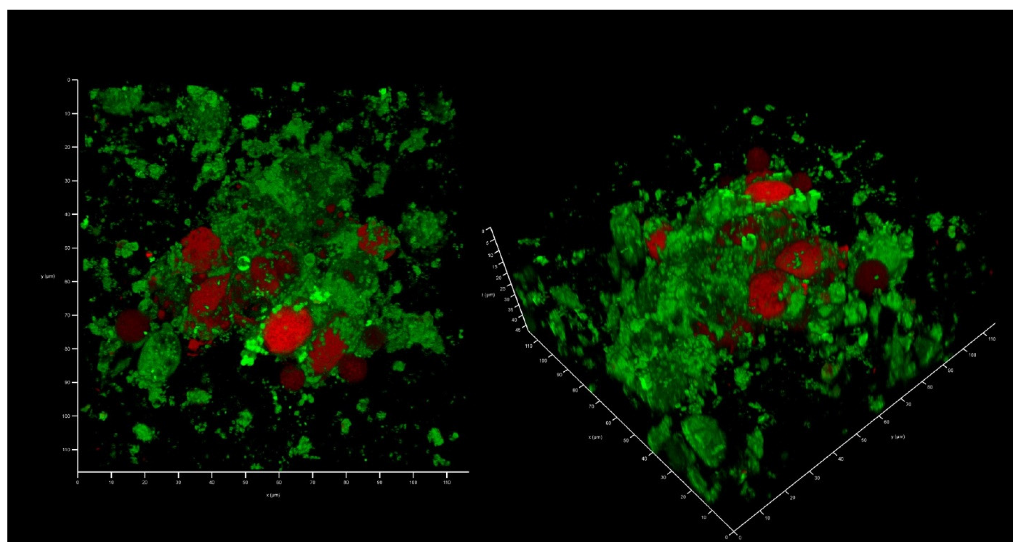 Antibiotics 12 00293 g004 Antibiotics 12 00293 g004