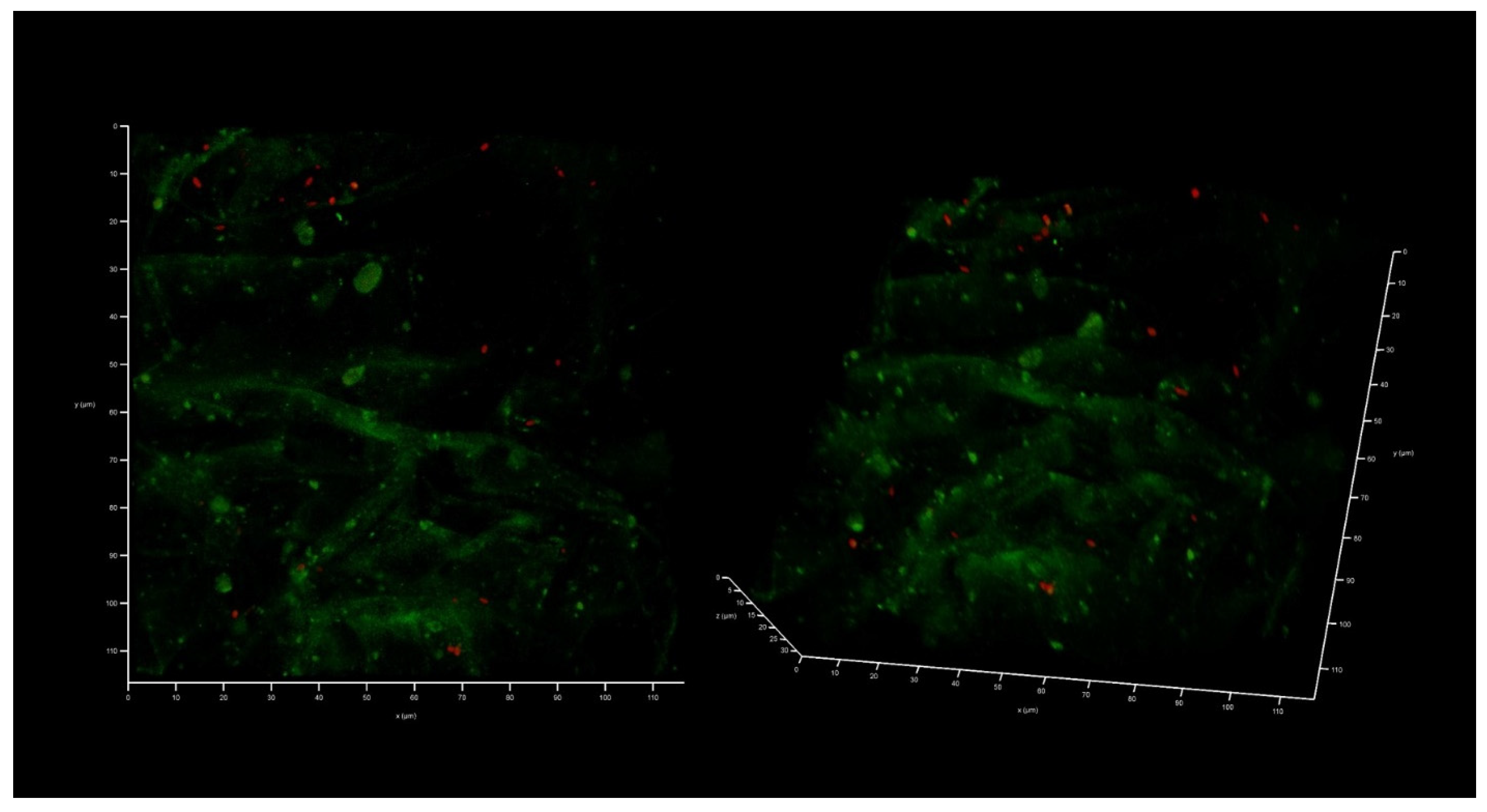 Antibiotics 12 00293 g005 Antibiotics 12 00293 g005
