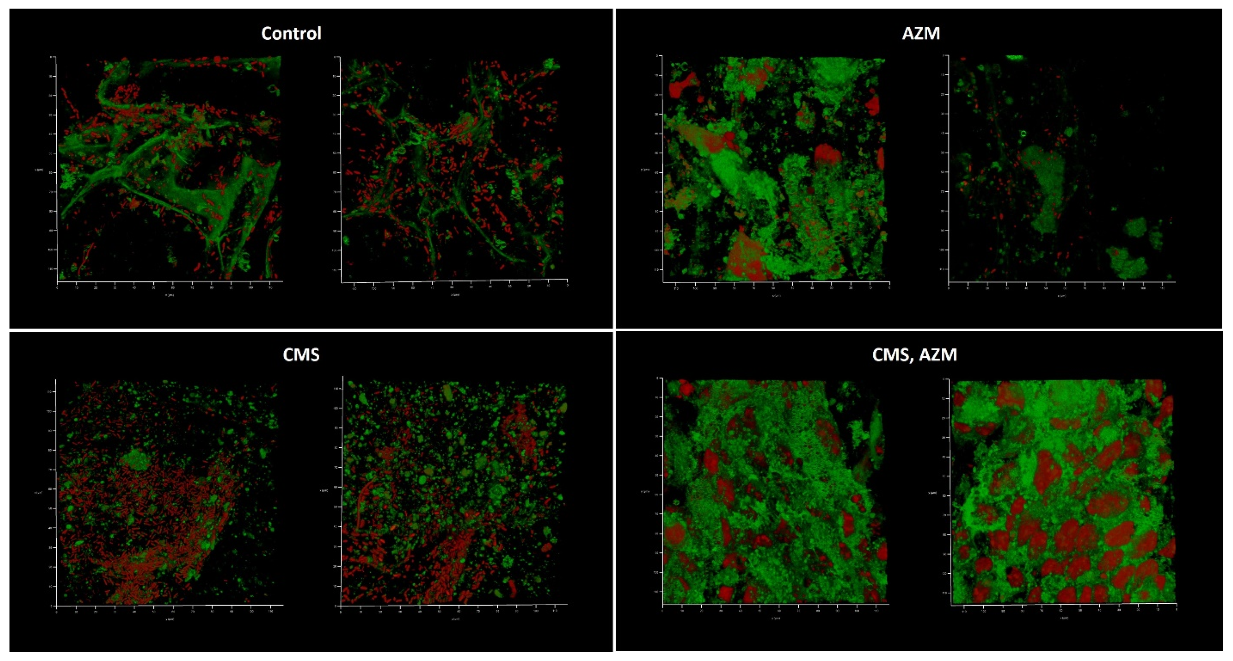 Antibiotics 12 00293 g006 Antibiotics 12 00293 g006
