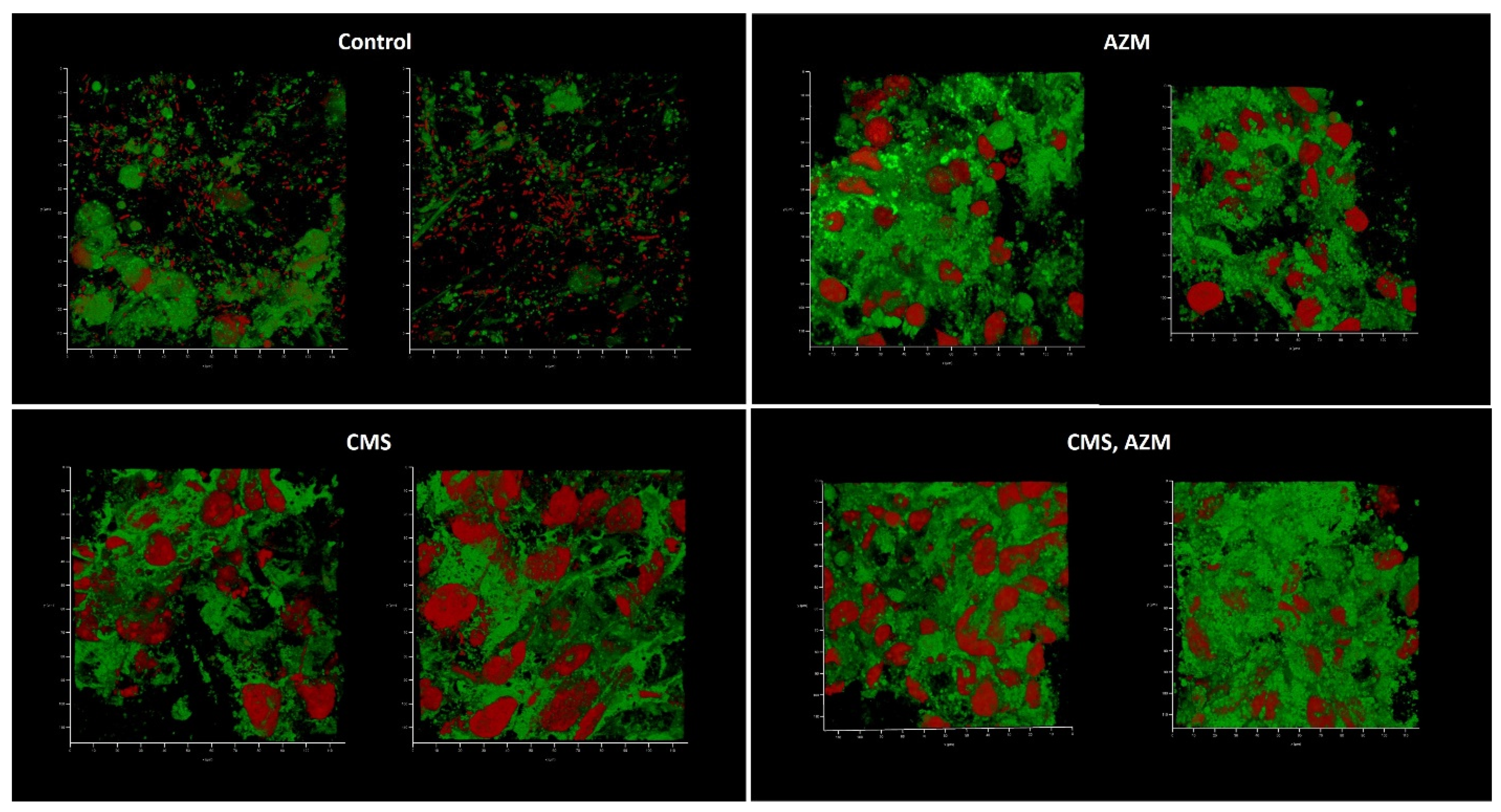 Antibiotics 12 00293 g008 Antibiotics 12 00293 g008