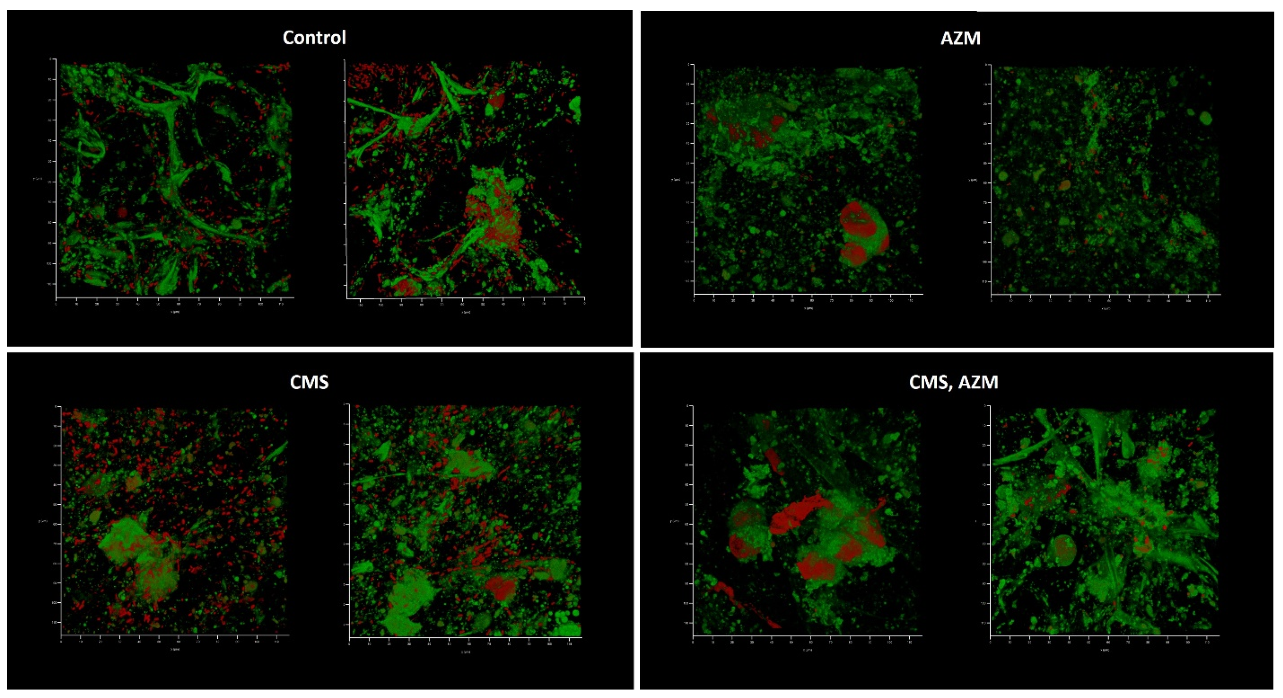Antibiotics 12 00293 g009 Antibiotics 12 00293 g009