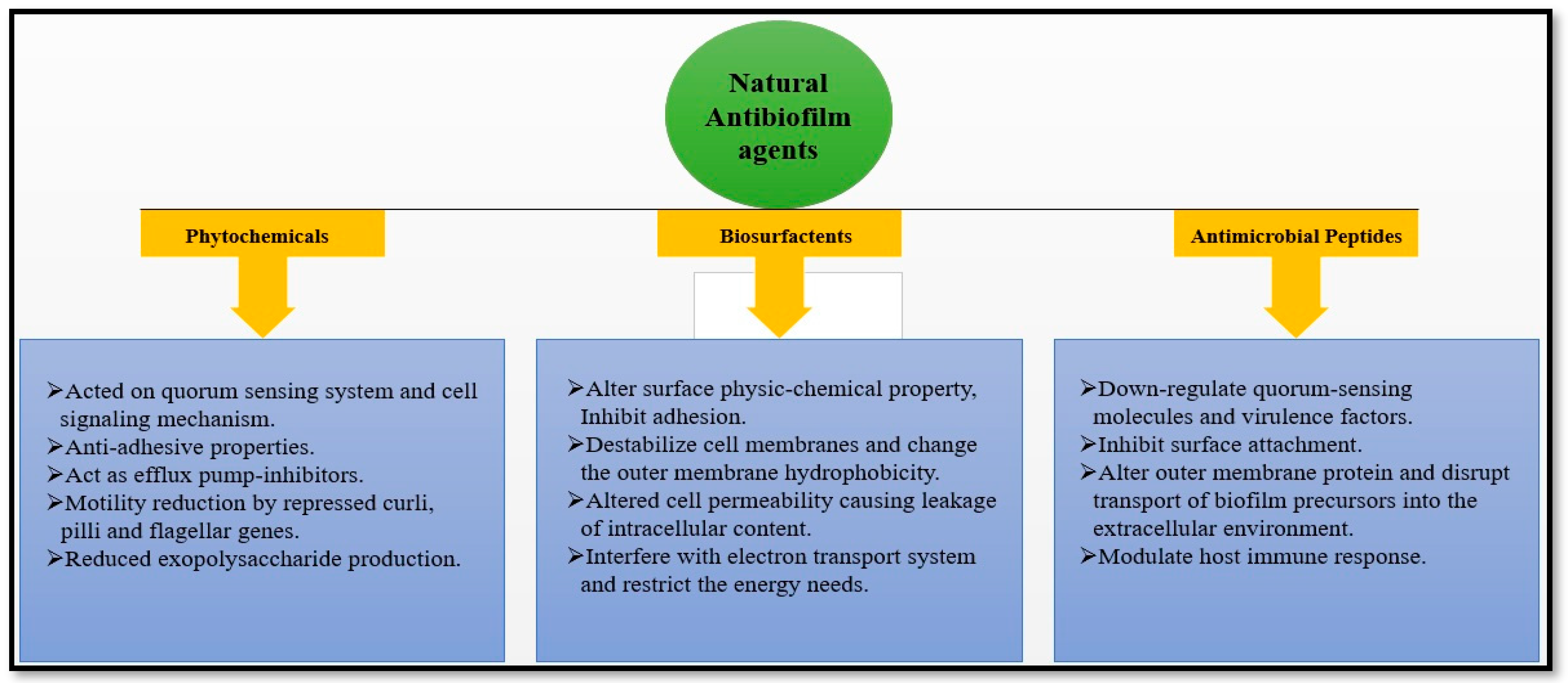 Antibiotics 12 00299 g005 Antibiotics 12 00299 g005