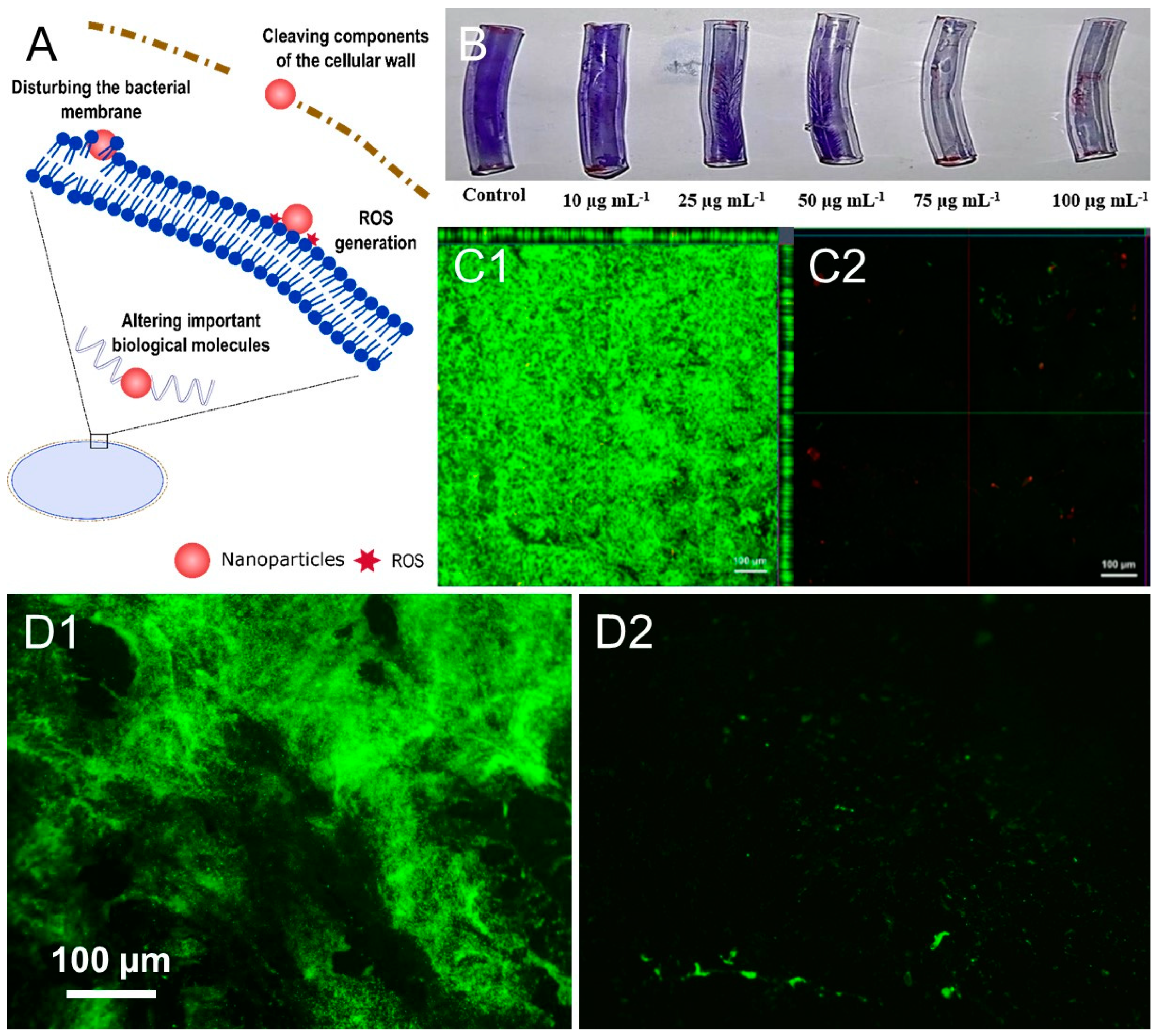Antibiotics 12 00310 g003