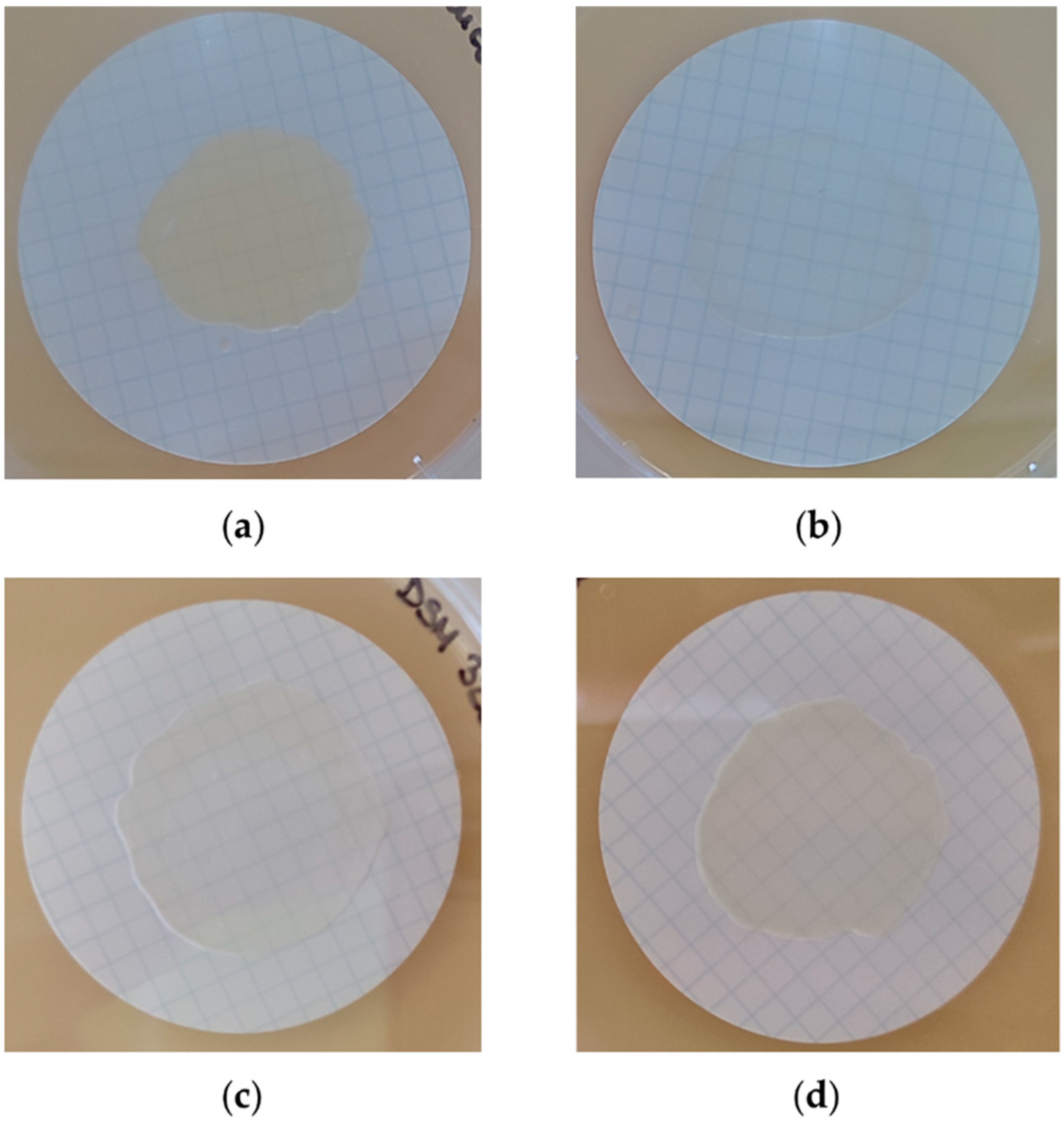 Antibiotics 12 00311 g001