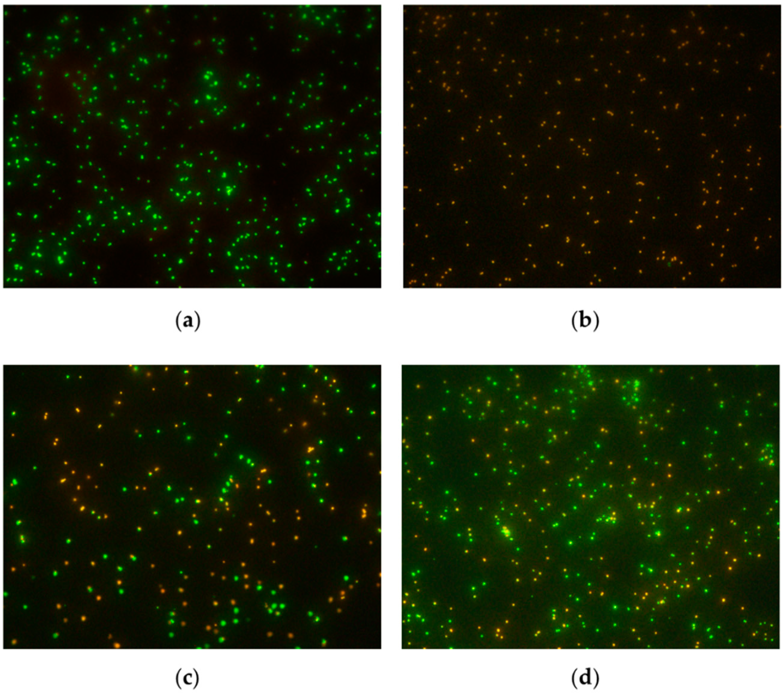 Antibiotics 12 00311 g002