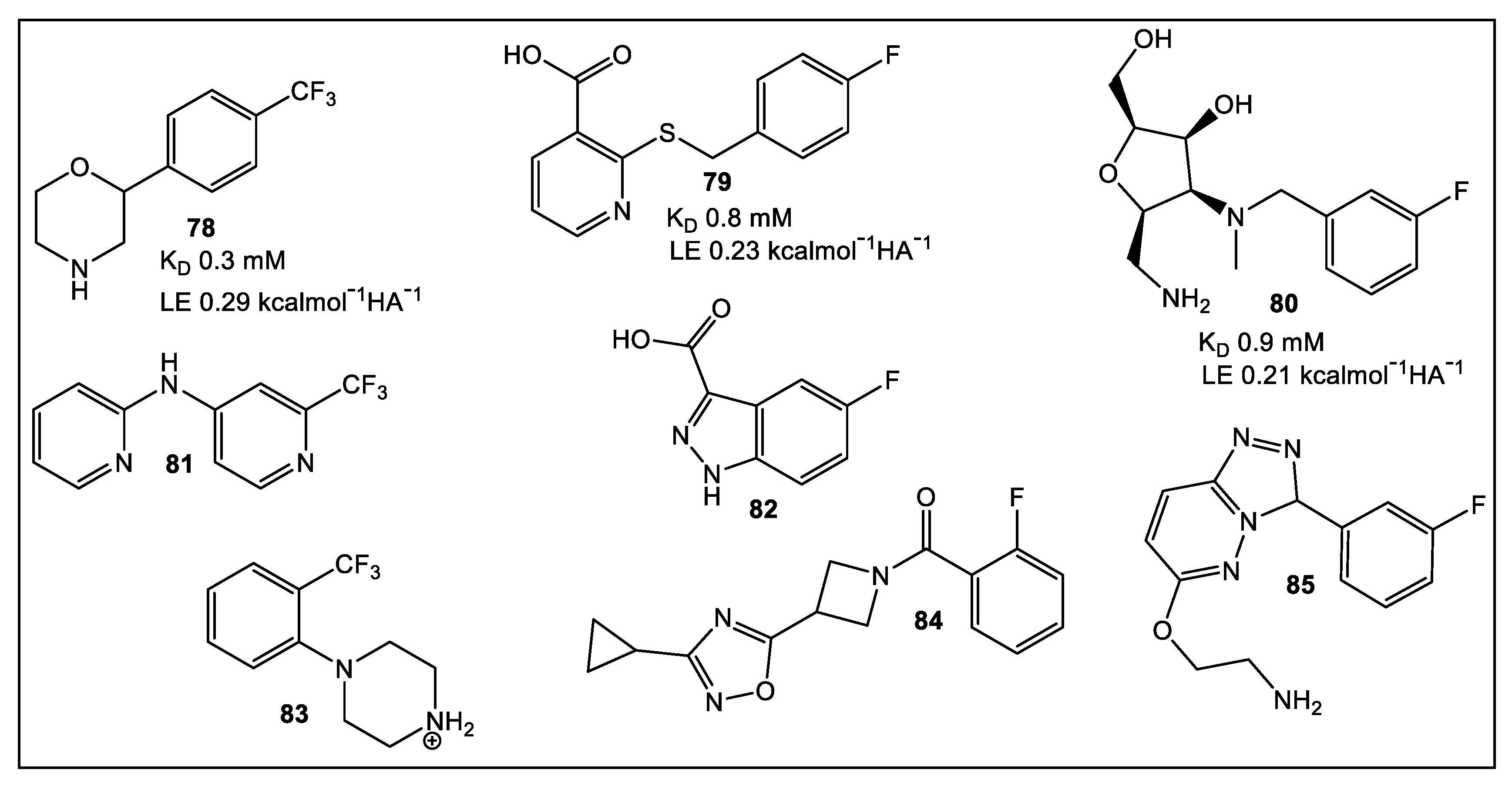 Antibiotics Free FullText FragmentBased Lead Discovery Strategies