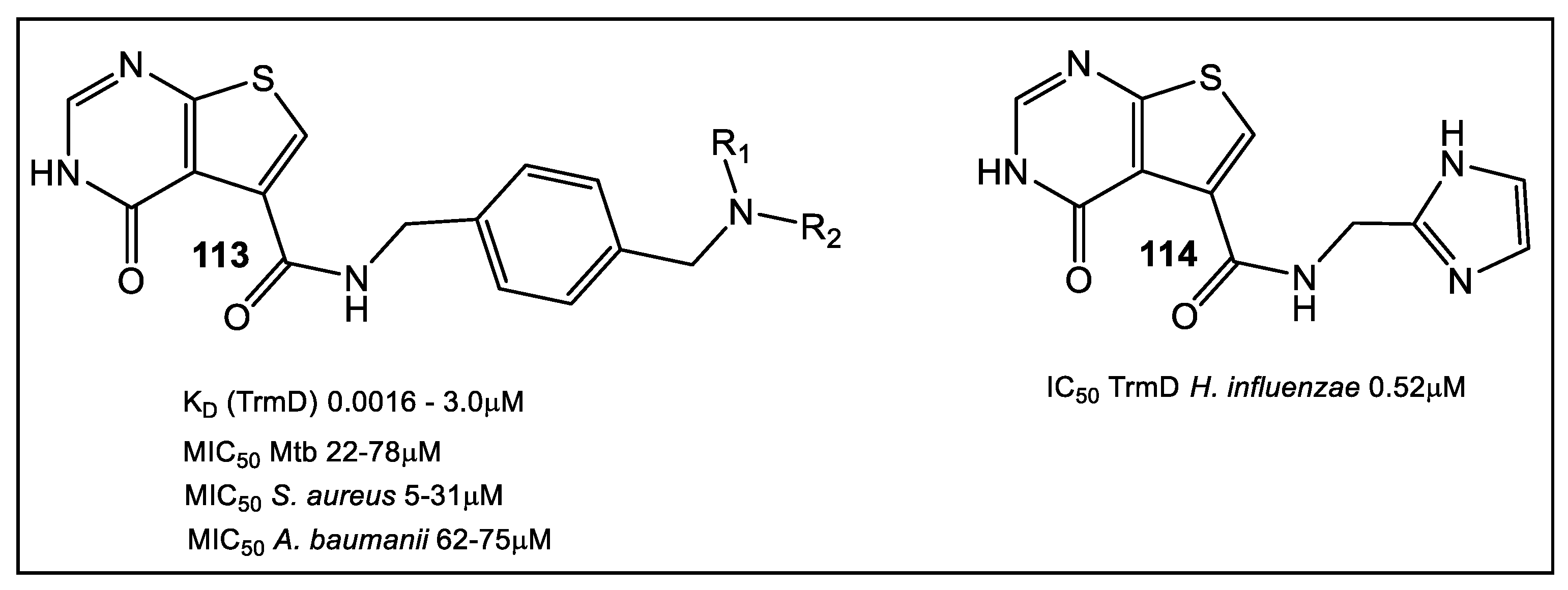 Antibiotics Free FullText FragmentBased Lead Discovery Strategies