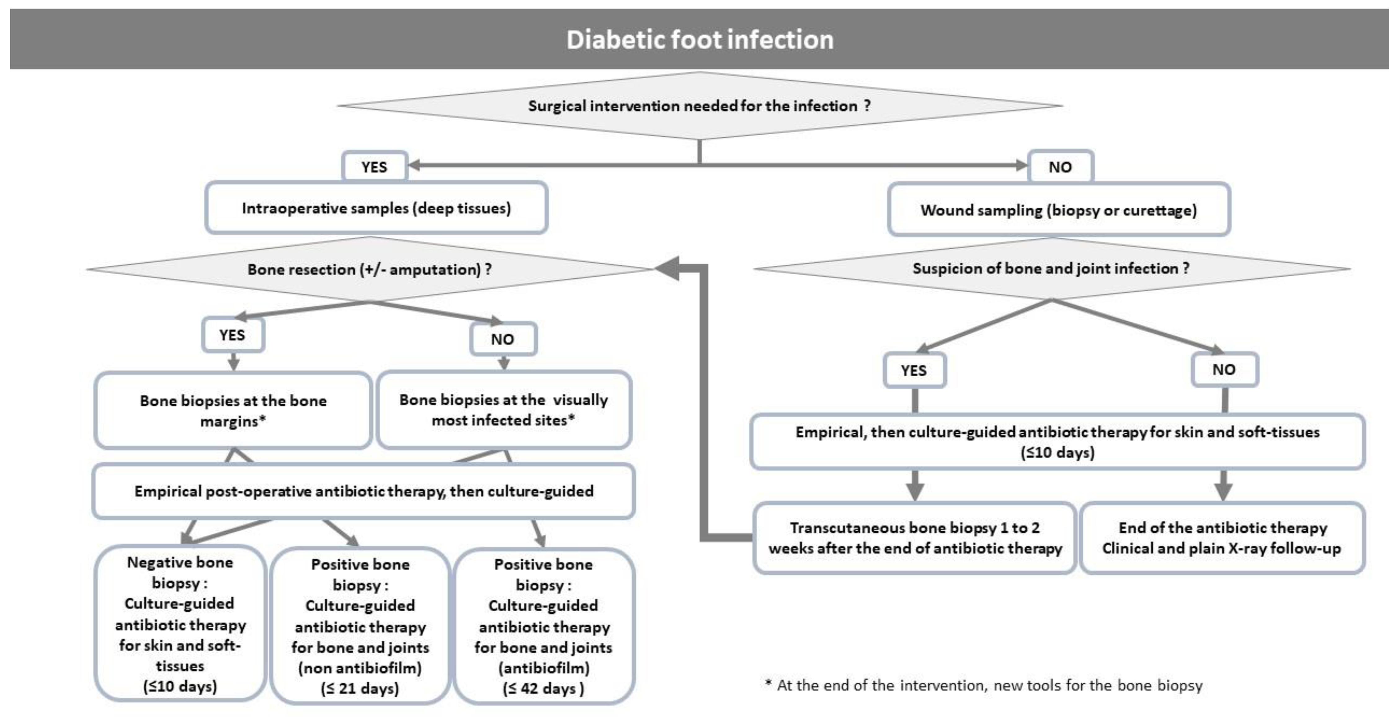 Antibiotics 12 00317 g002 Antibiotics 12 00317 g002