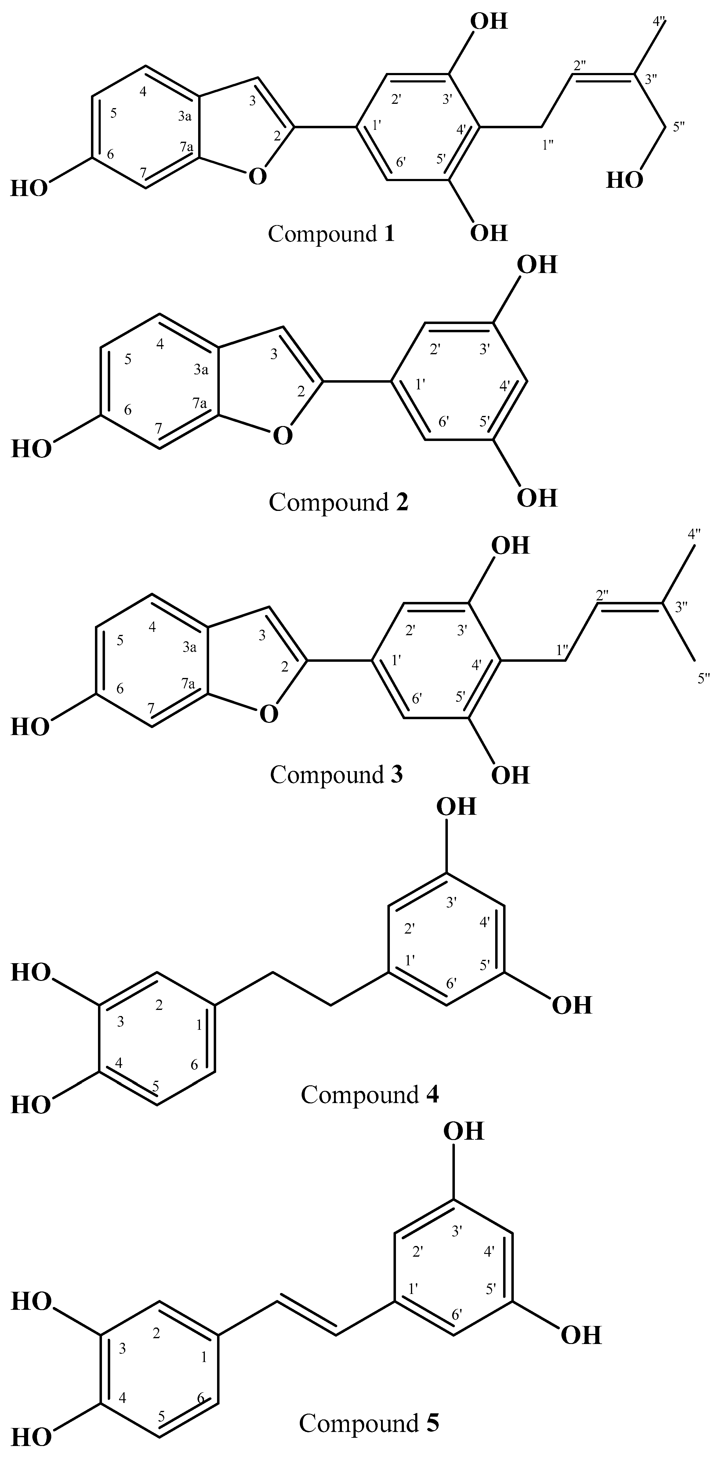 Antibiotics 12 00319 g001