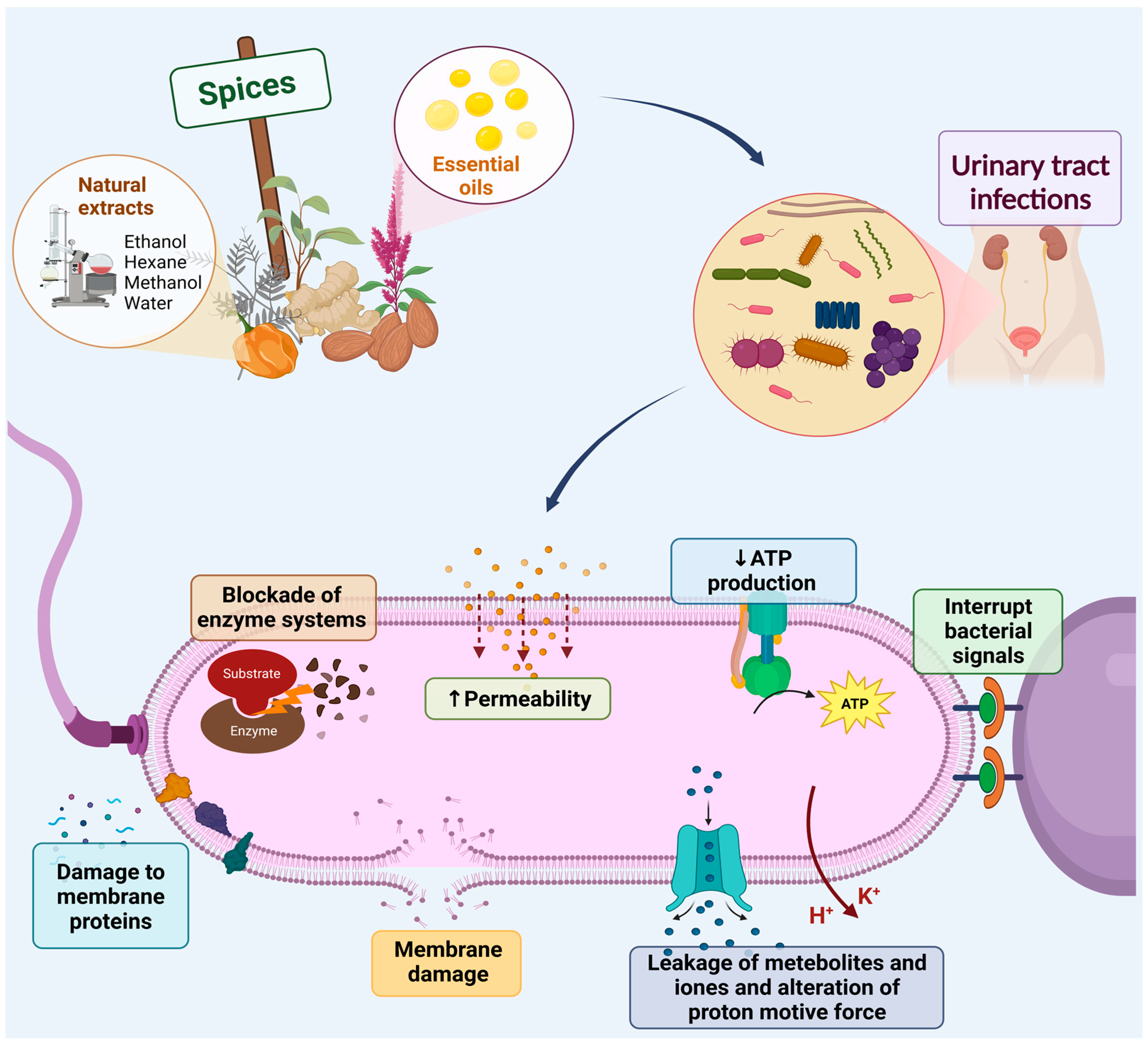 Antibiotics 12 00325 g001 Antibiotics 12 00325 g001
