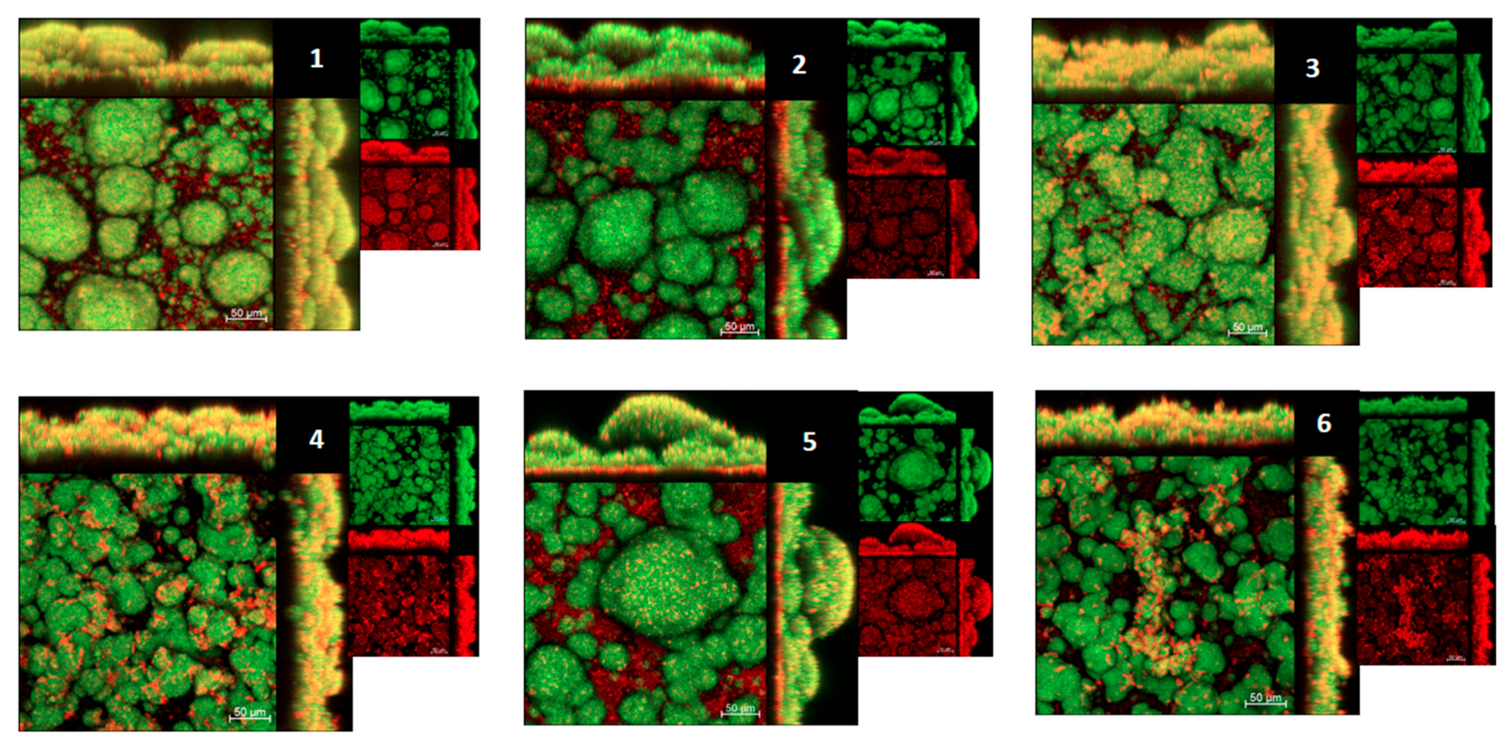 Antibiotics 12 00329 g007